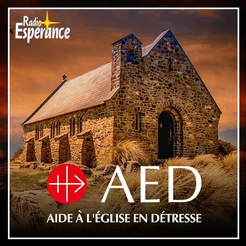 L’Église en détresse