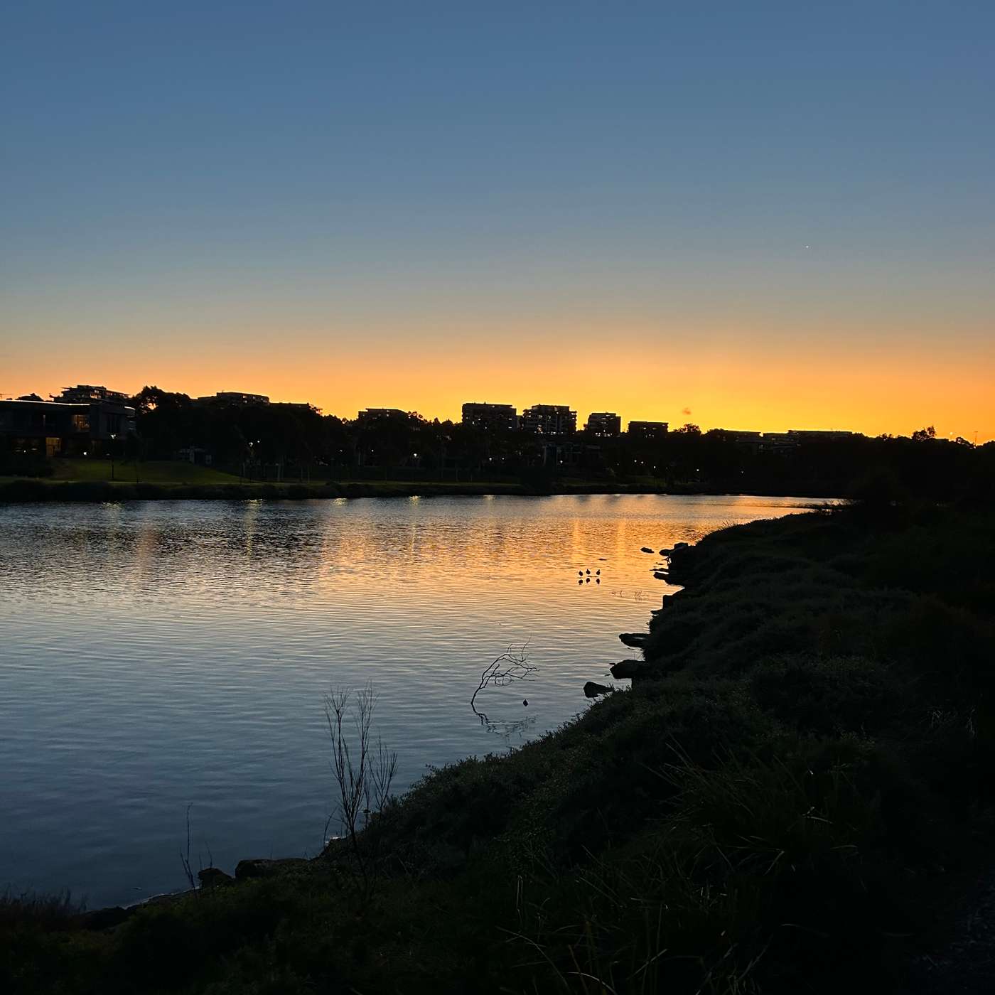 The Ten Thousand Things