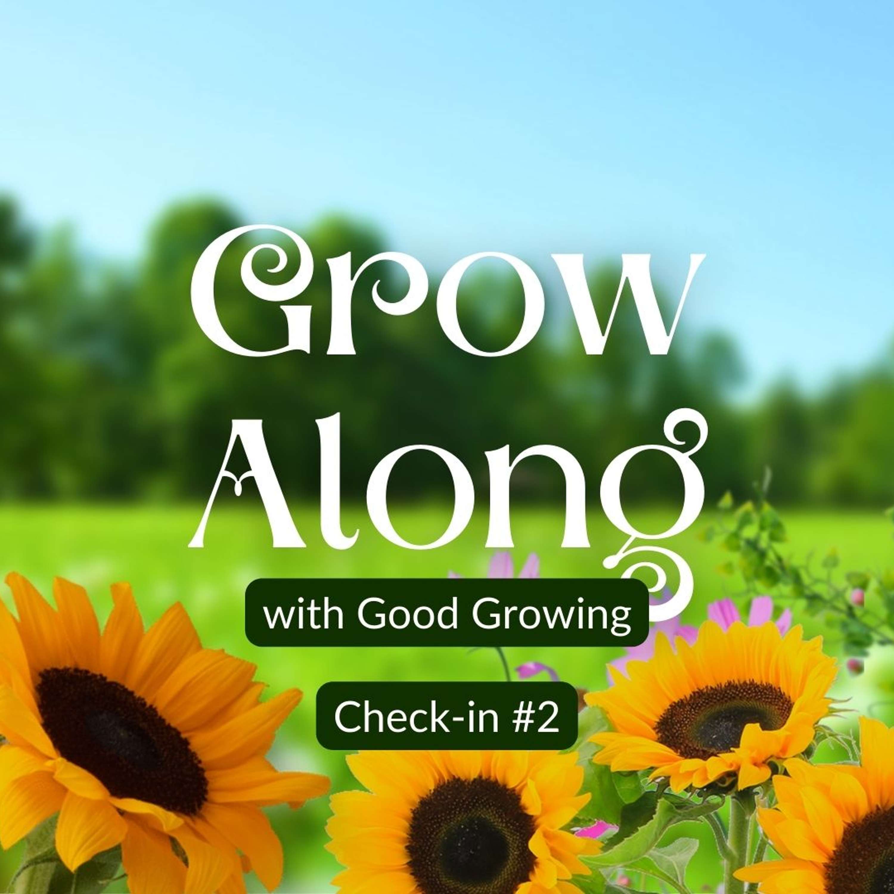 Good Growing Grow Along second check-in