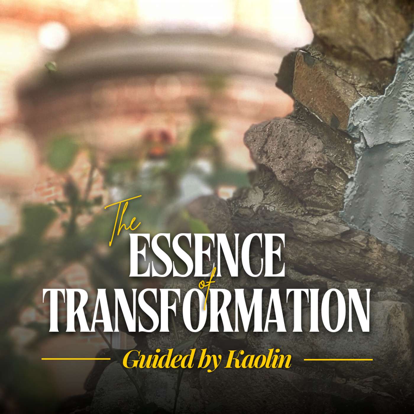 The Essence of Transformation