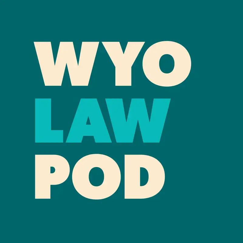 Insights From the Bench with Judge Melissa Owens