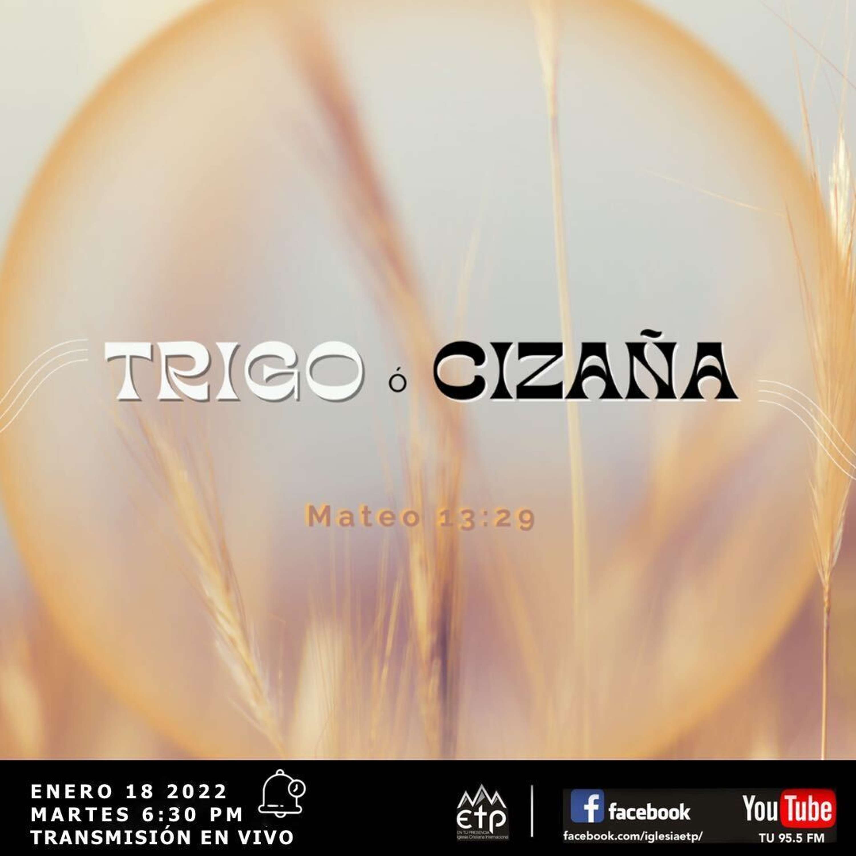 No Arranques La Cizaña