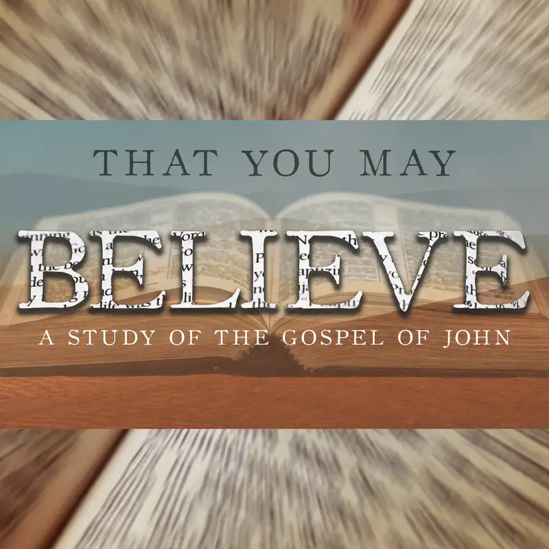 That You May Believe: A Study of the Gospel of John (with Patience)