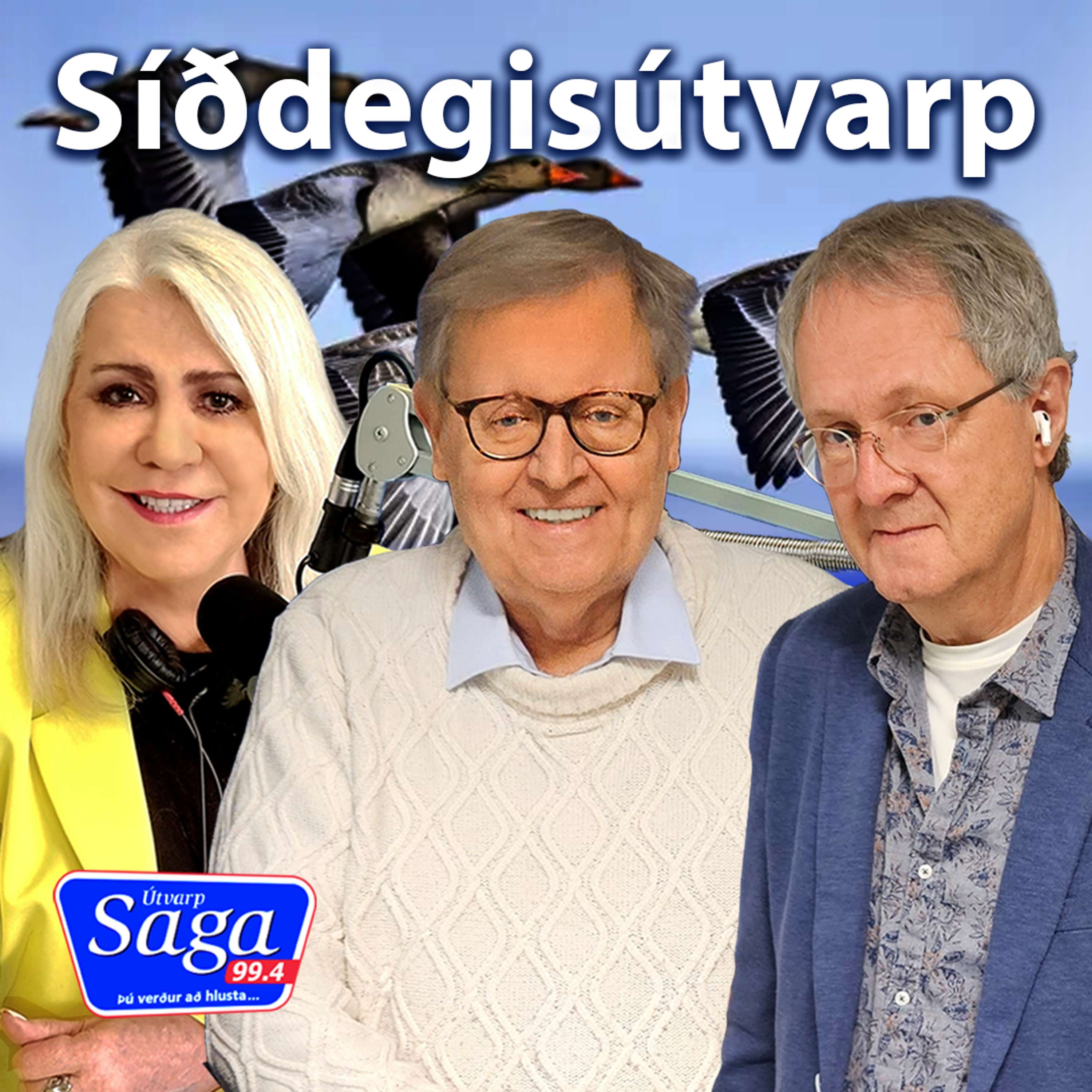 Bandarísk stjórnmál og fuglaflensa - Guðmundur Karl Snæbjörnsson
