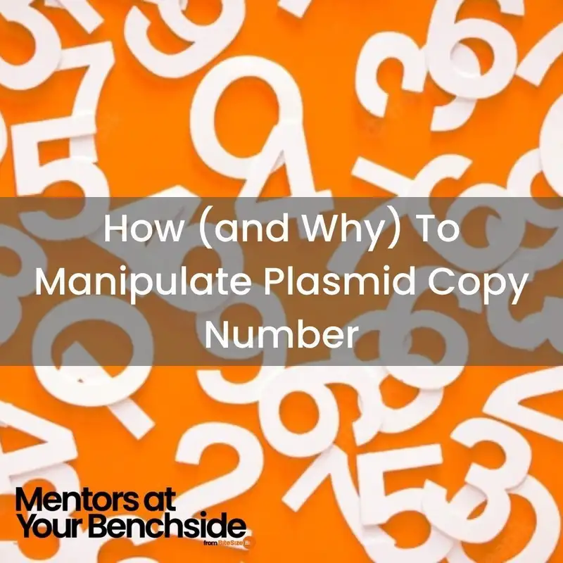 How (and Why) To Manipulate Plasmid Copy Number