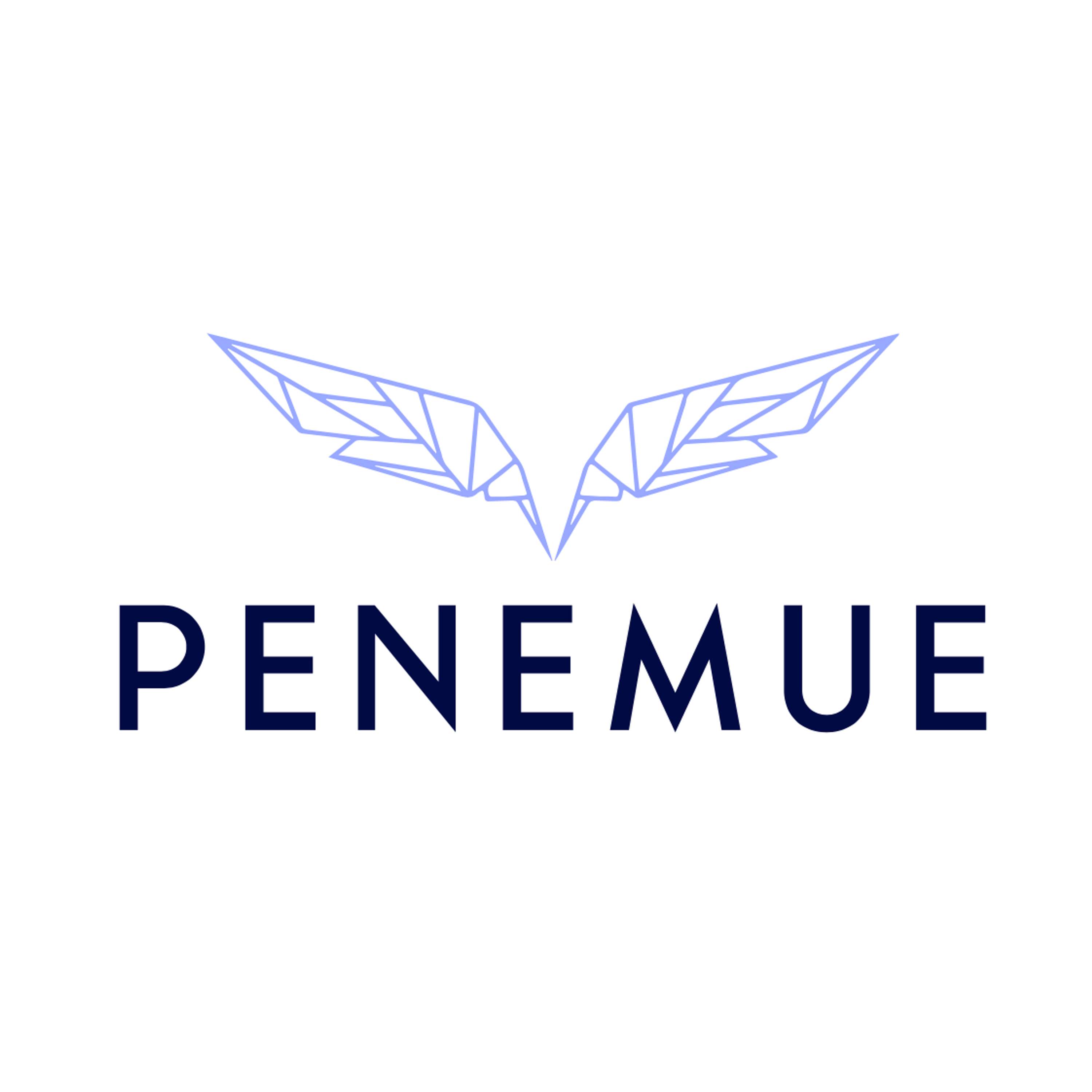 12: Penemue - AI against Hate Speech in Music