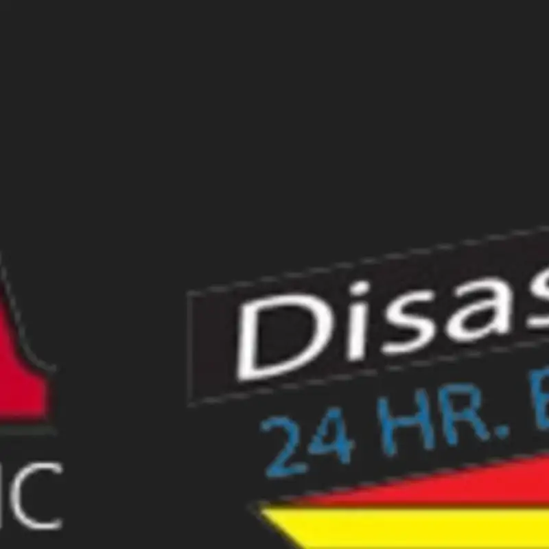 When Disaster Strikes: The Essential Guide To Mold Remediation, Fire Cleanup, Flood Restoration, And Asbestos Testing