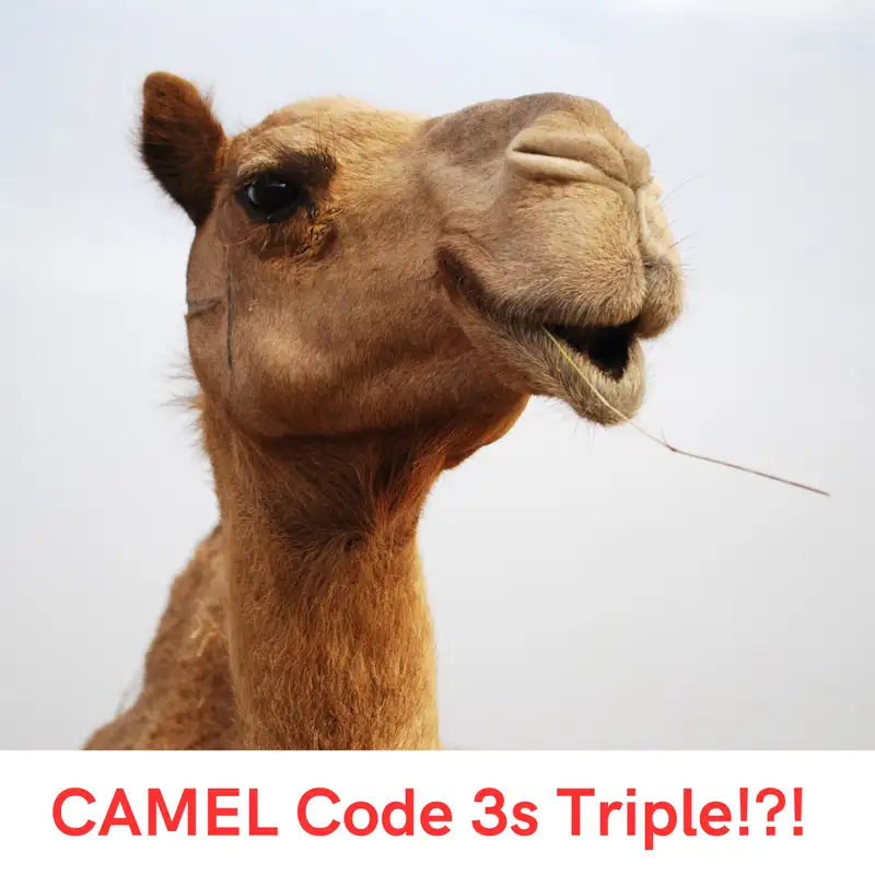 CAMEL CODE 3s Triple!?!