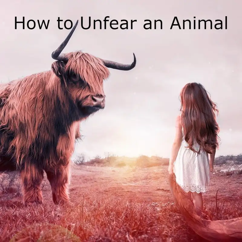 How to Unfear an Animal