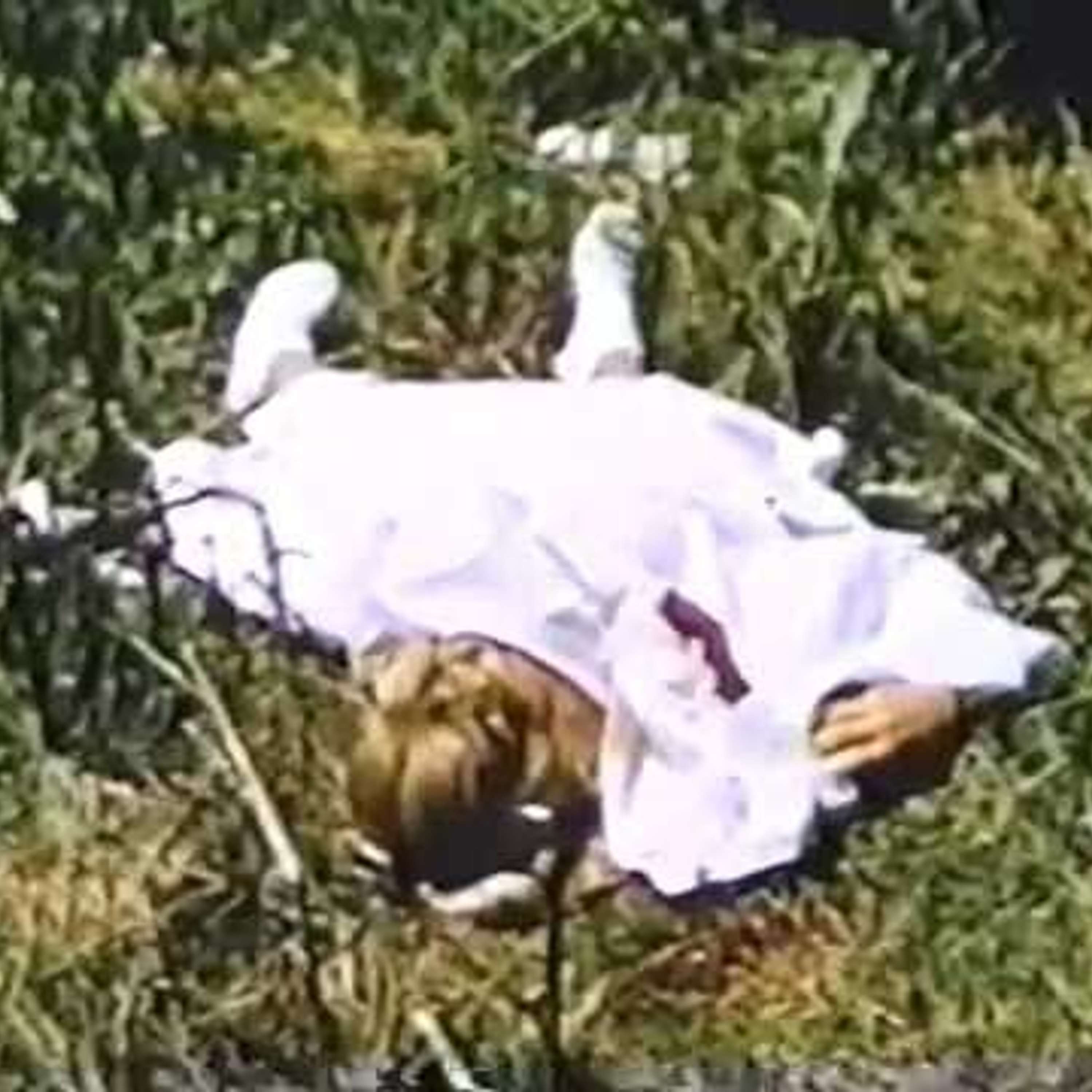 Aural Hygiene: Psychotronic Film Reviews