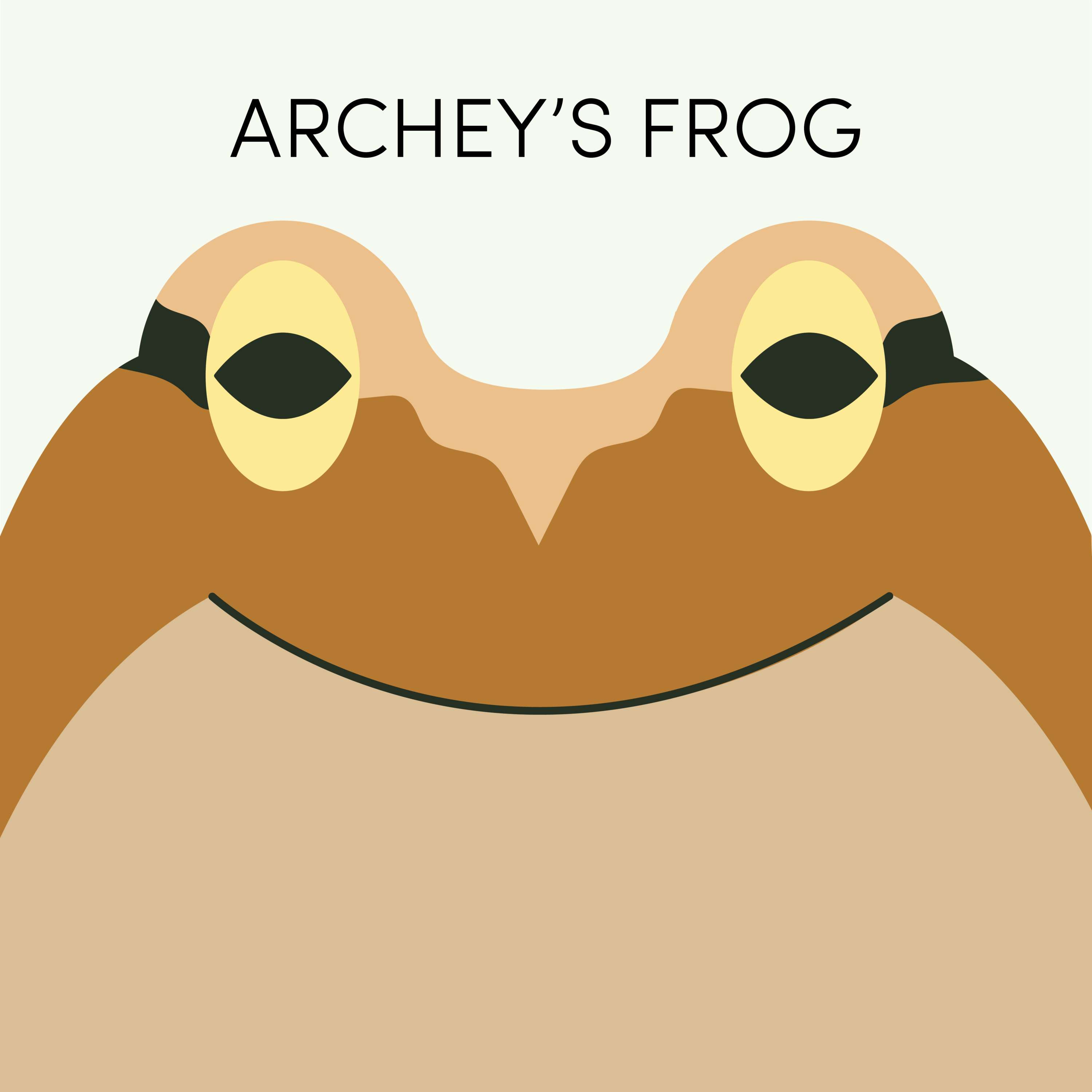 Archey's Frog | Week of August 9th