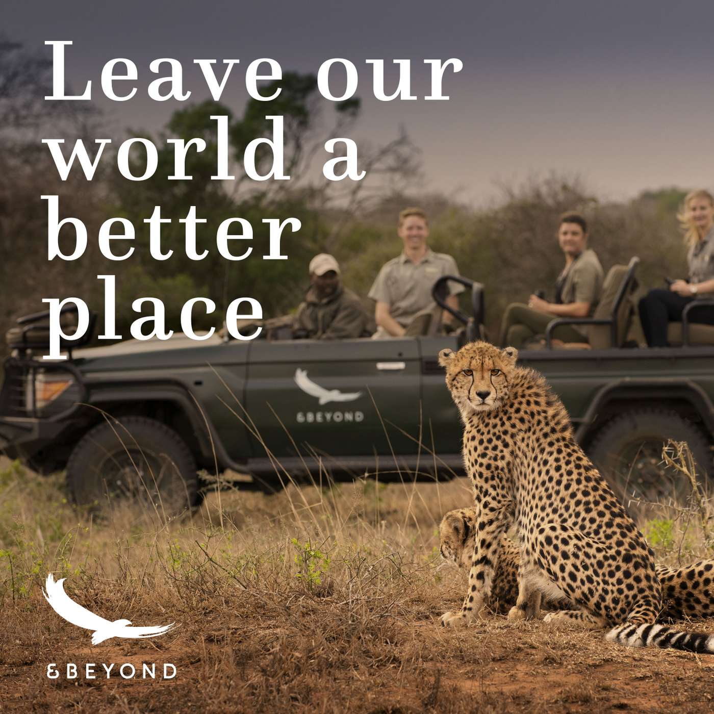 Stories from the wild with Damen Pheiffer