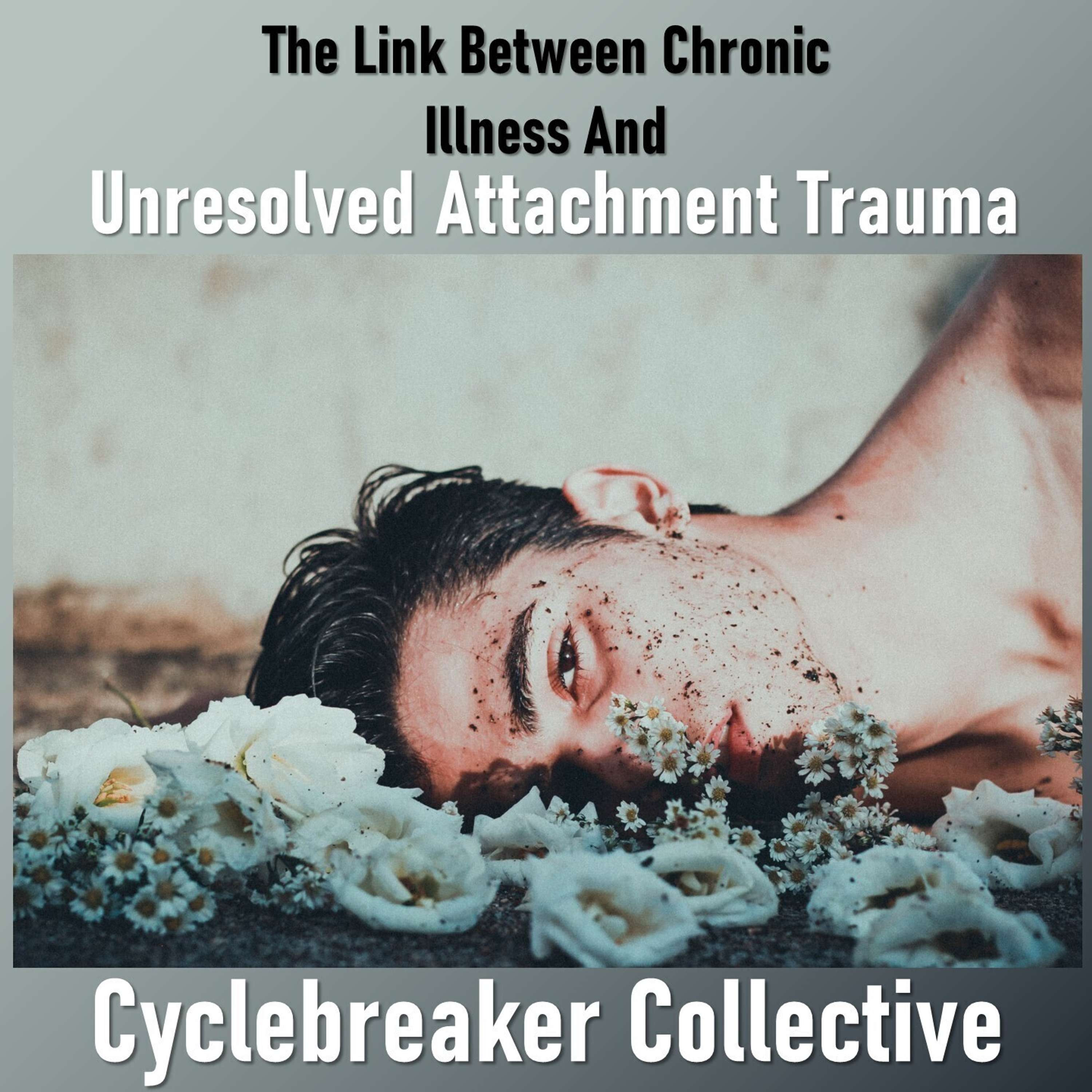 Trigger Proof Transmissions (Cyclebreaker Collective)