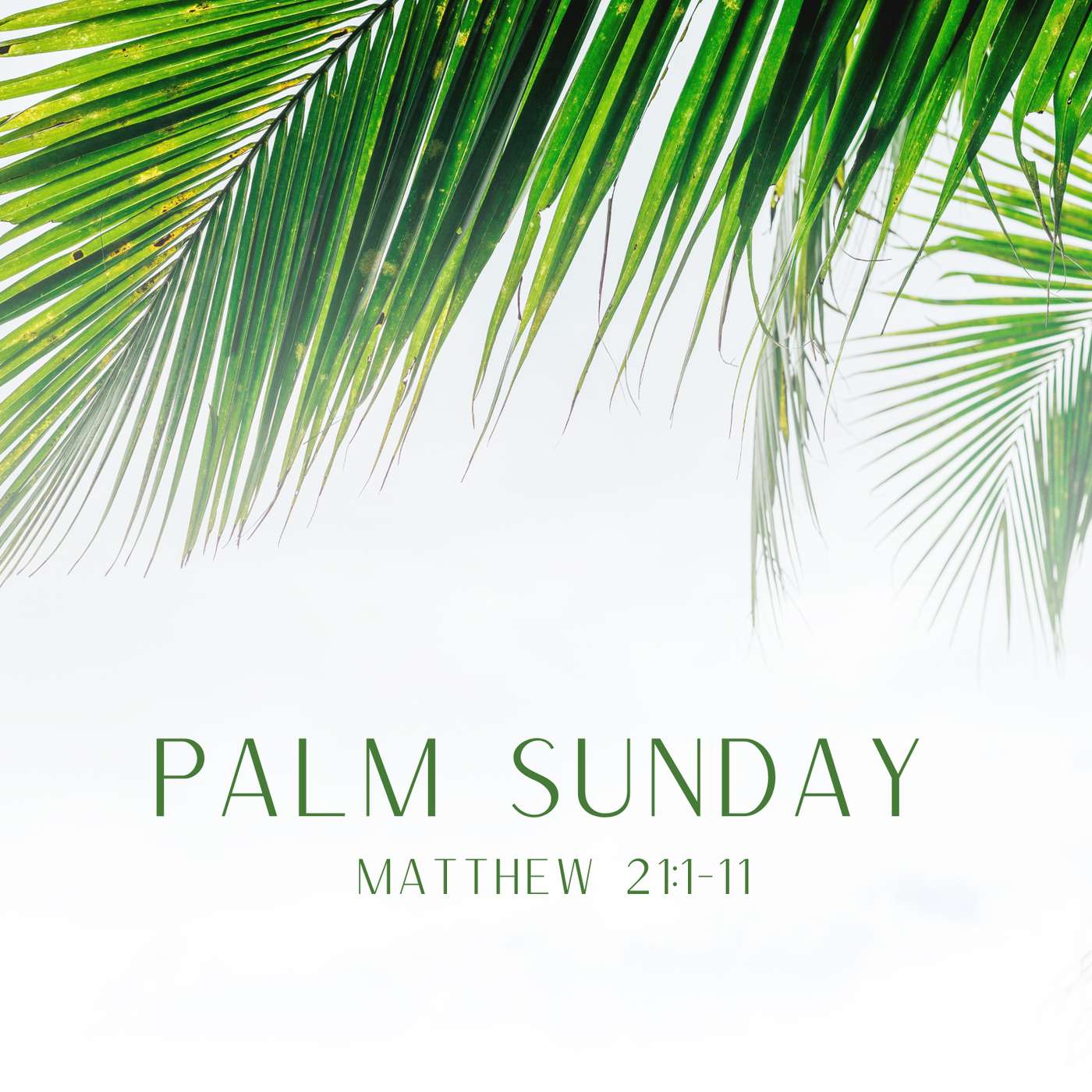 Palm Sunday Sermon - Matthew 21