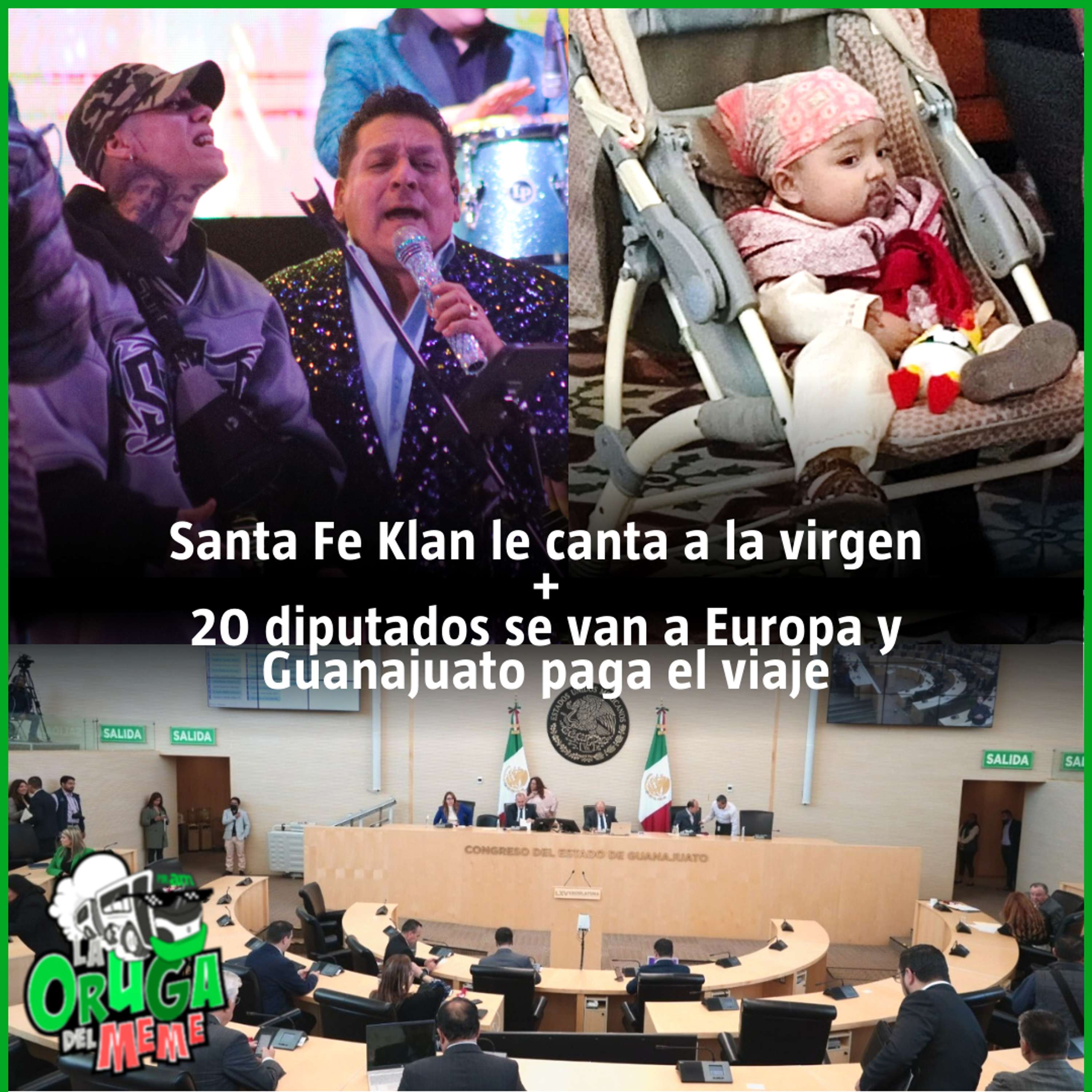 La Oruga del Meme