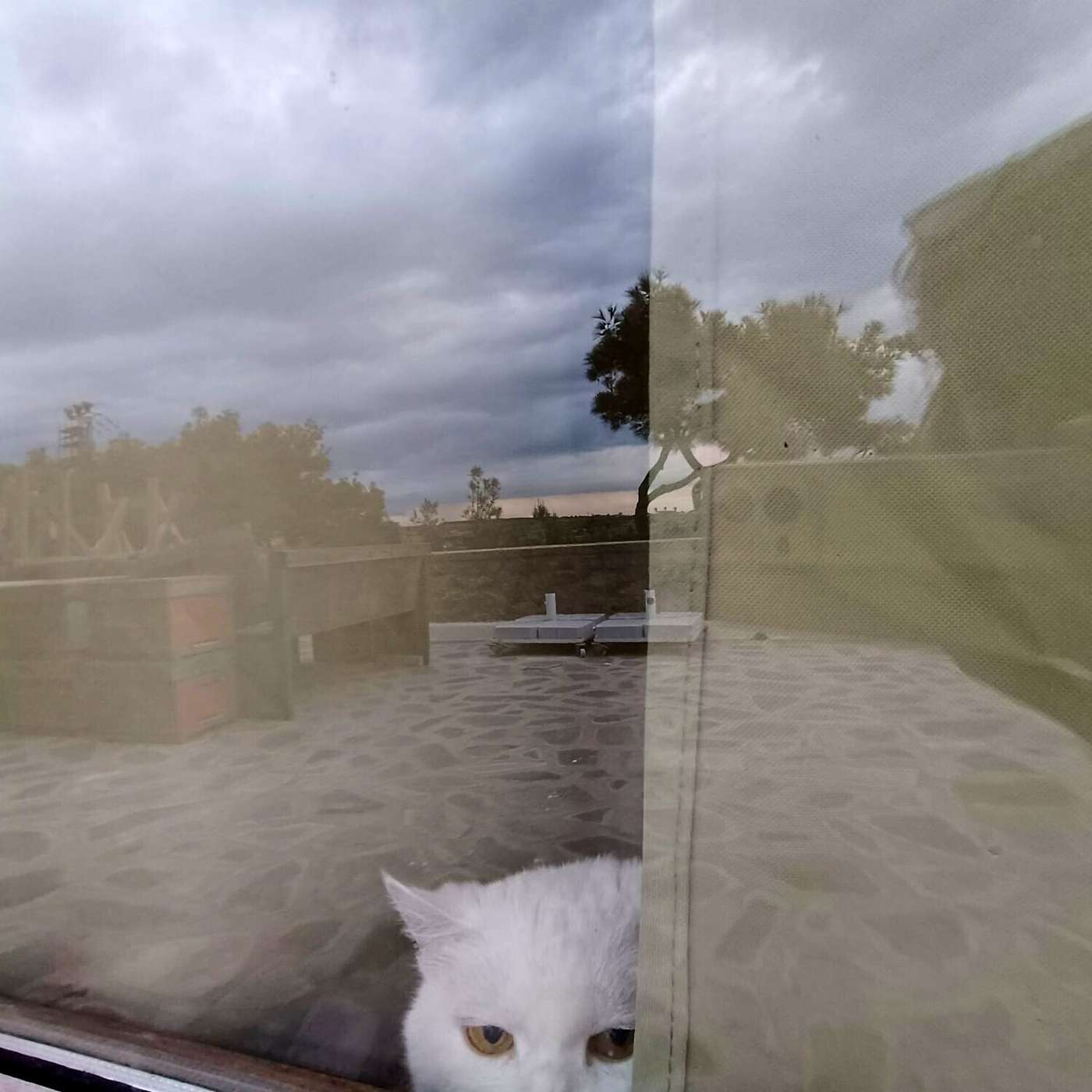 Sizin gününüz nasıl geçti?