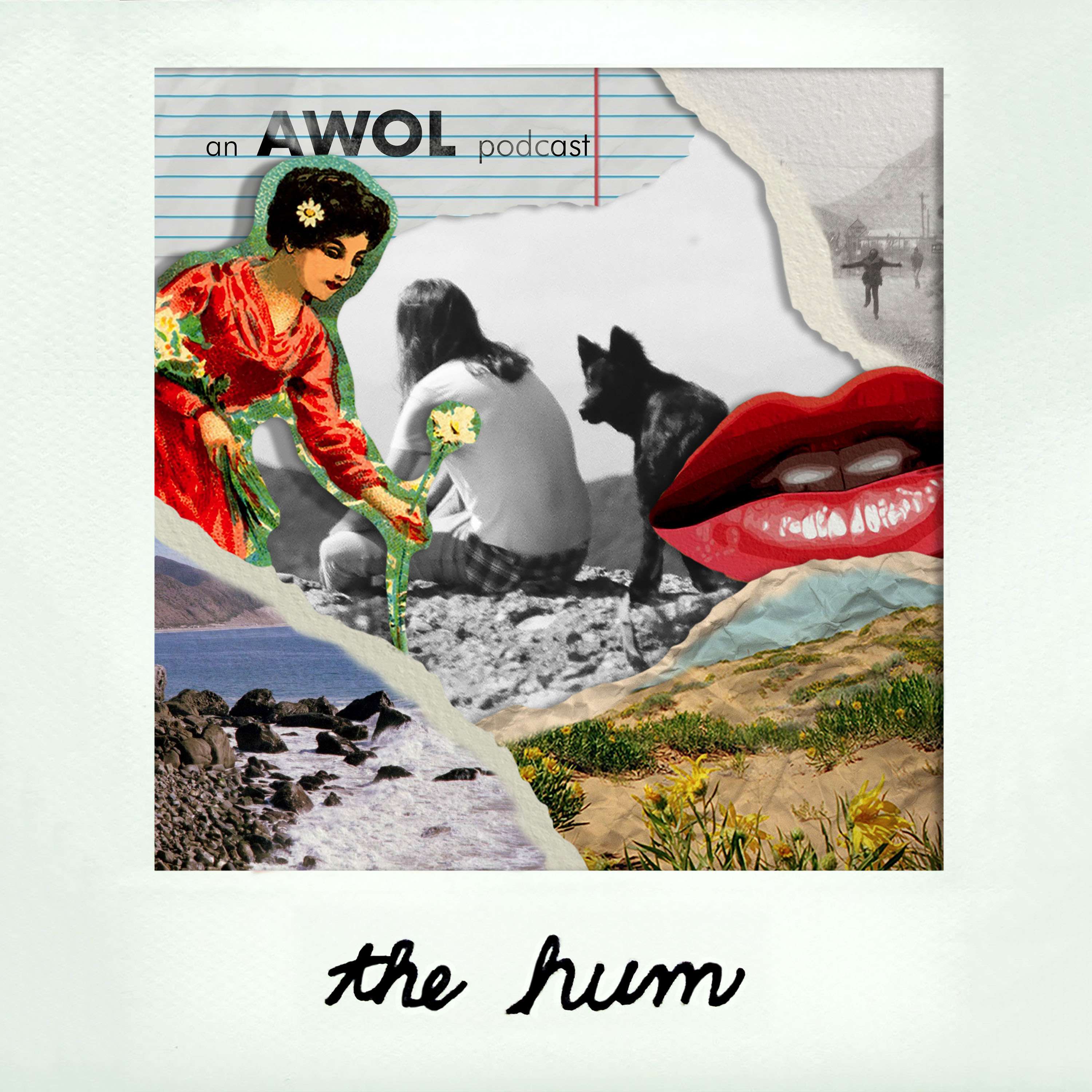 The Hum