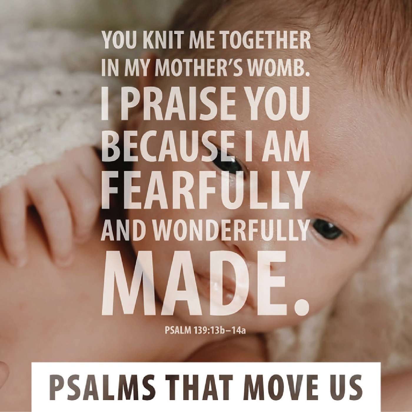 Wheaton Bible Church