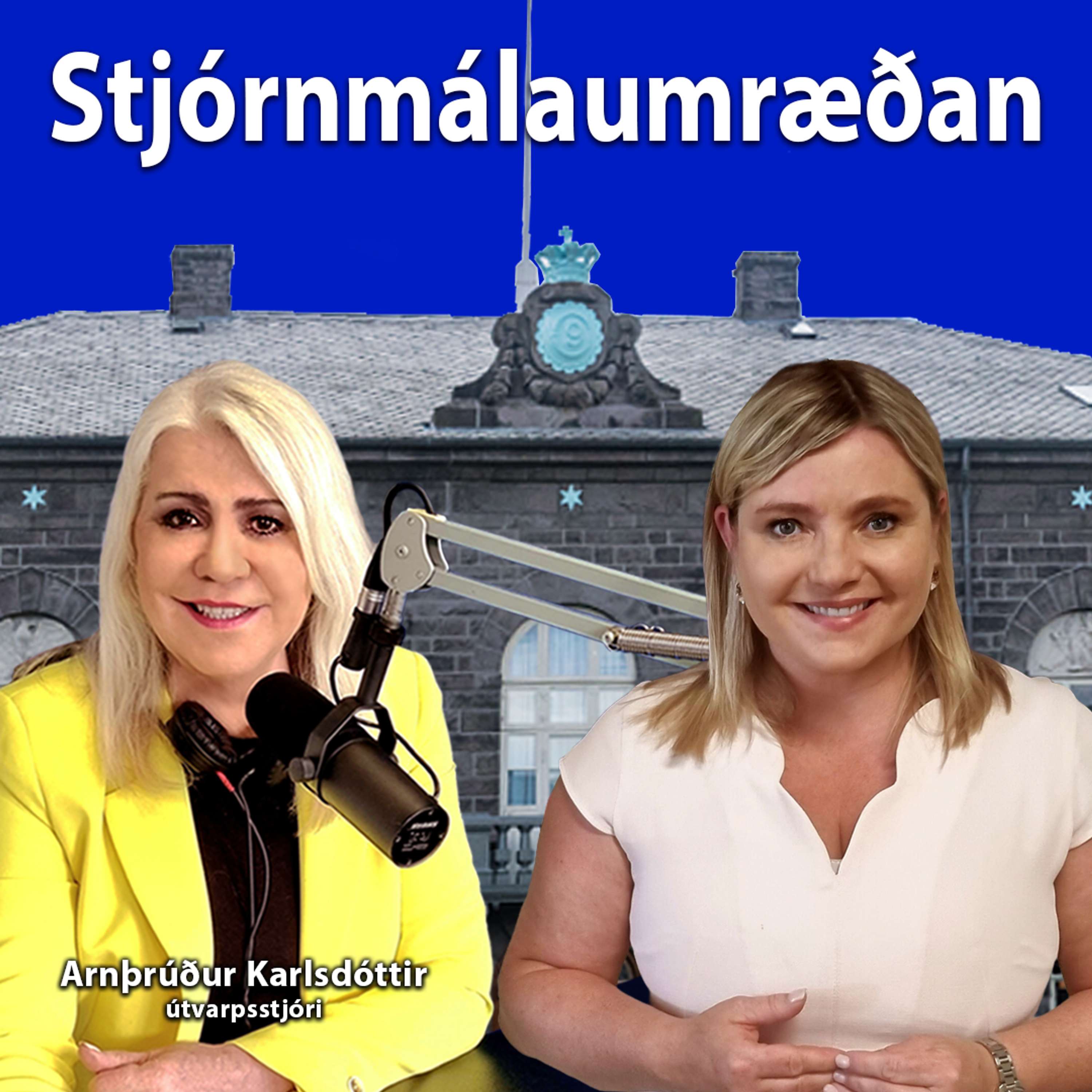 Stjórnarslitin - Lilja Alfreðsdóttir