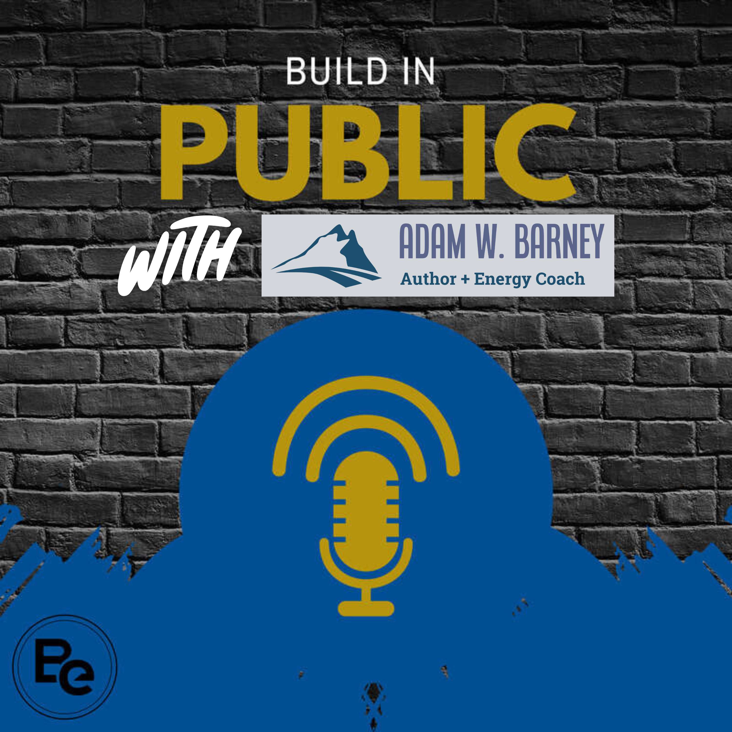 Build in Public Daily