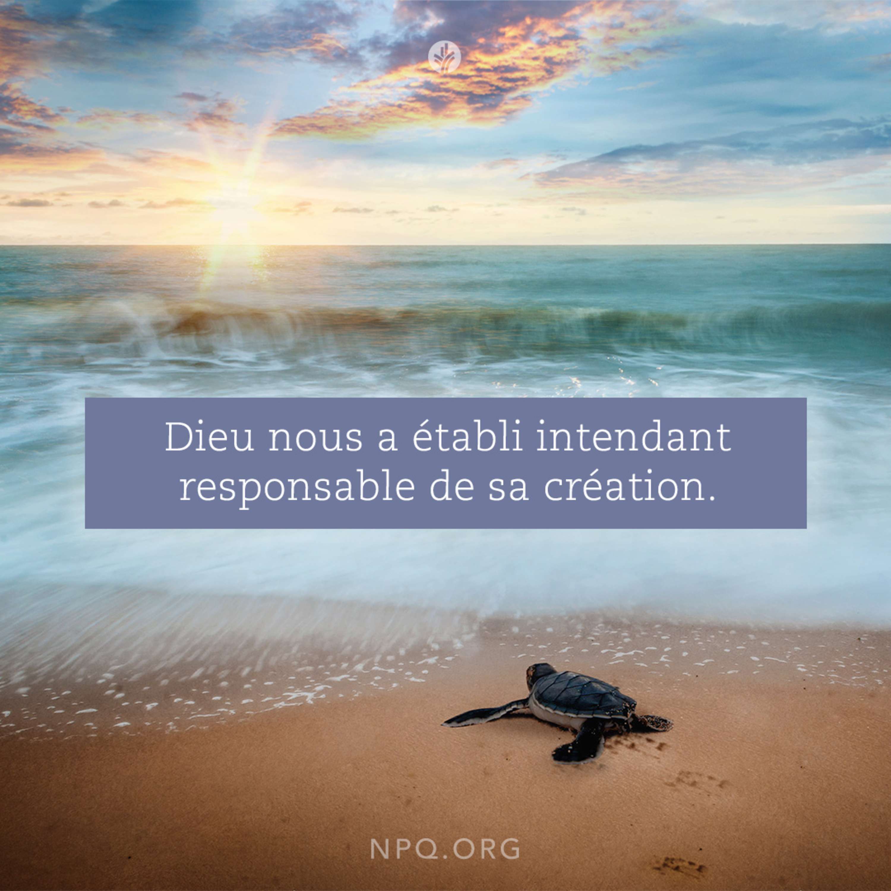 Notre Pain Quotidien podcast