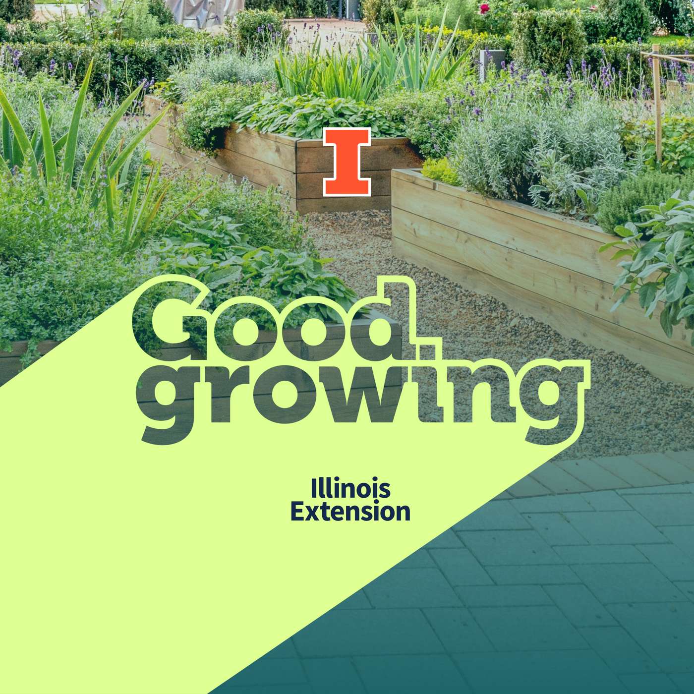 Ep. 220 From the ground up: How to create and care for raised bed gardens | #GoodGrowing