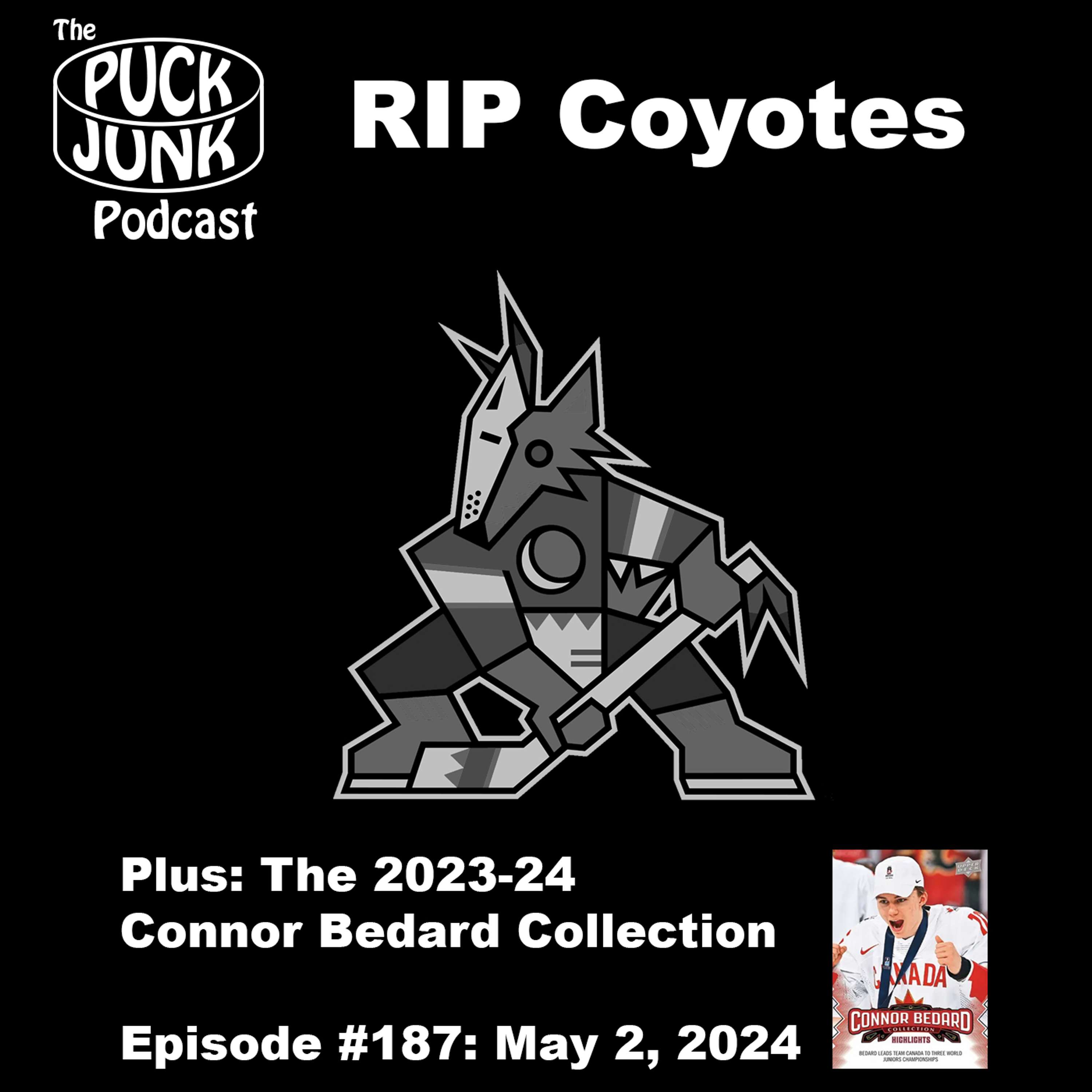 Puck Junk Hockey Podcast