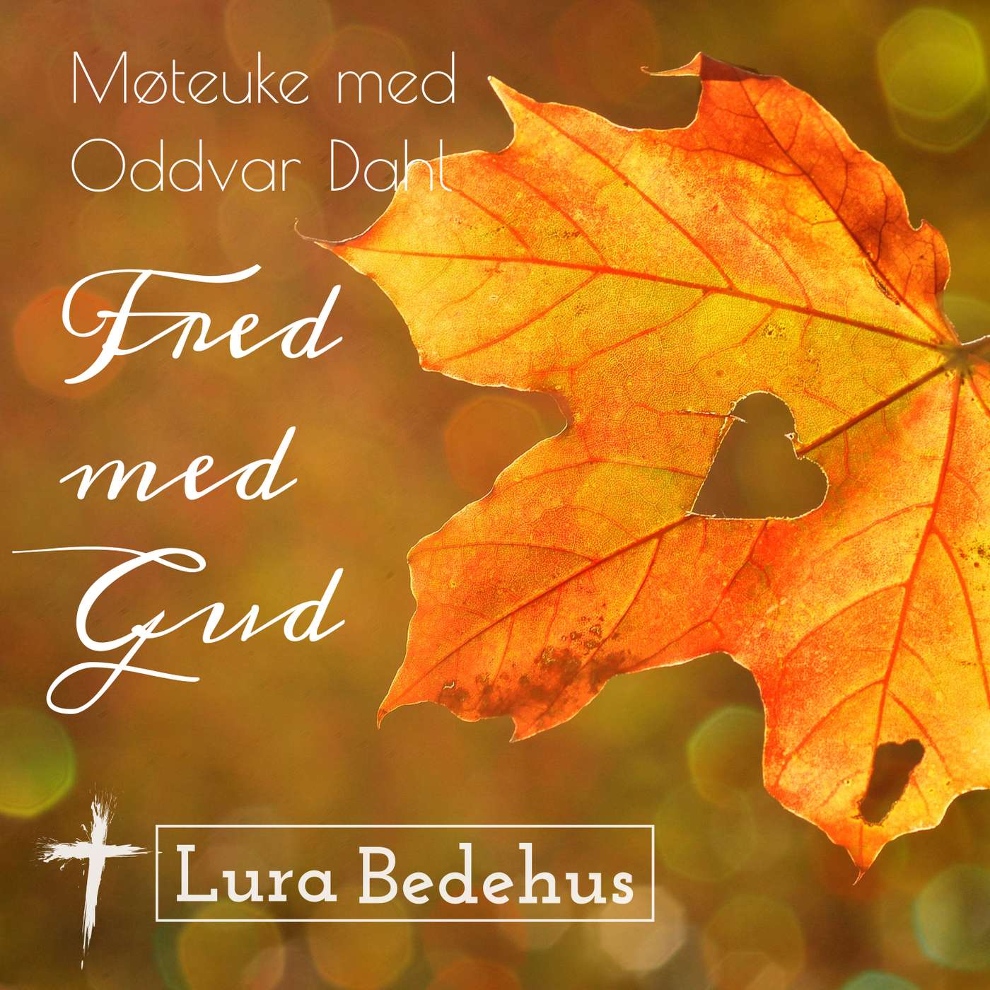 5. Møteuke med Oddvar Dahl episode artwork
