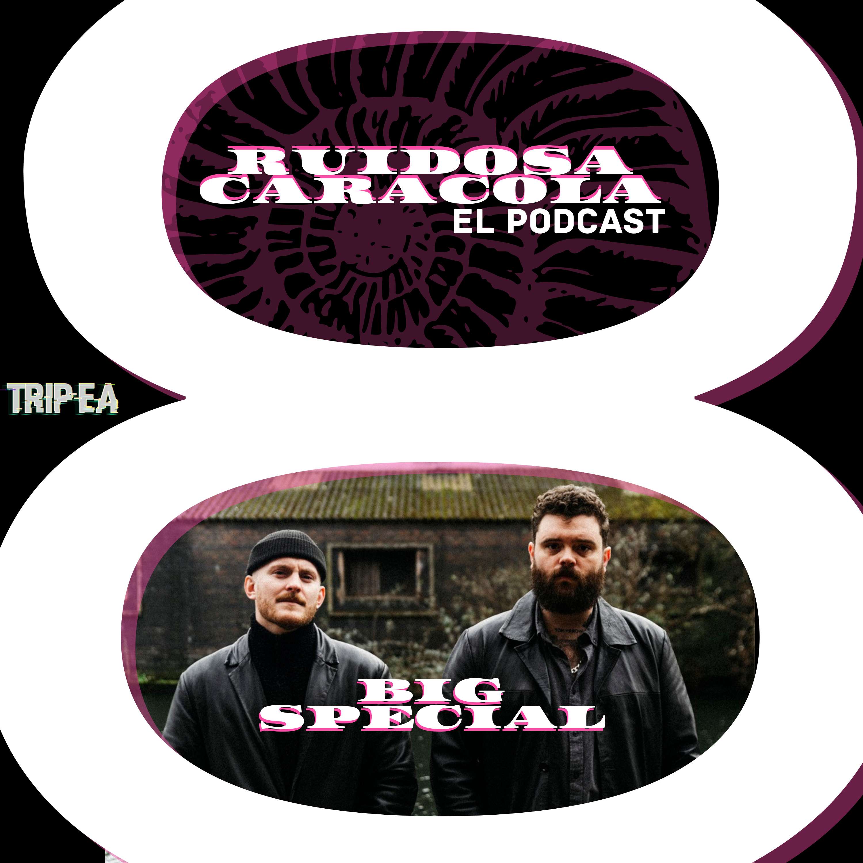 Ruidosa Caracola: El Podcast