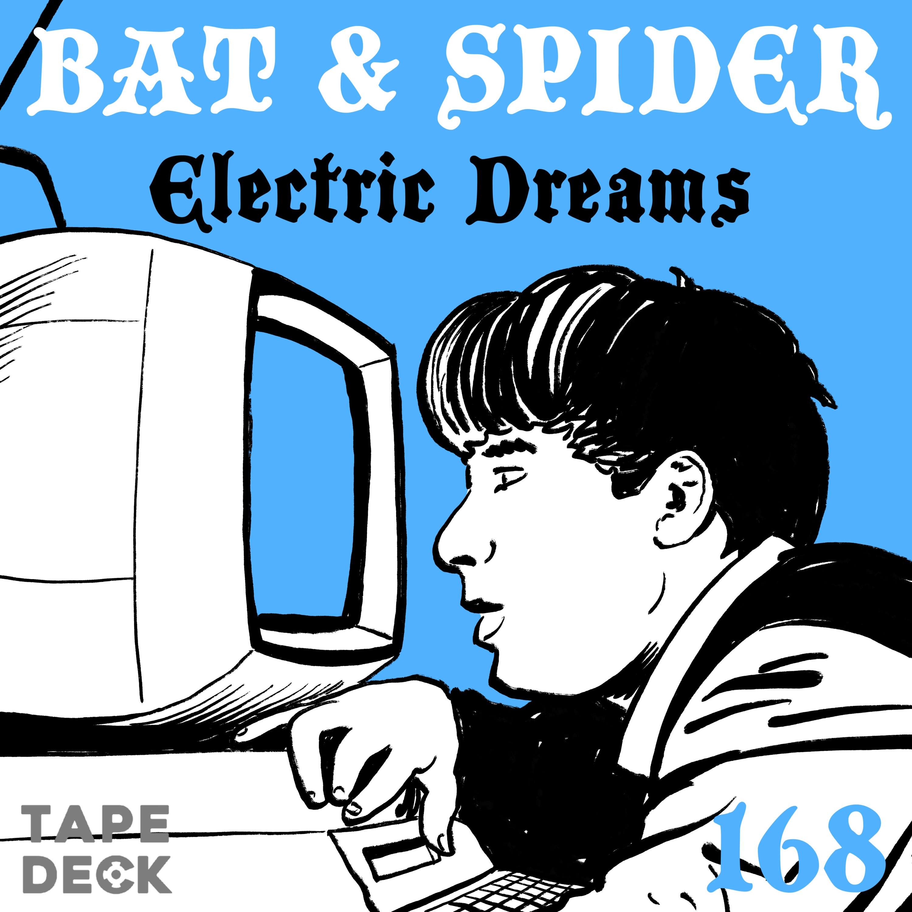 BAT AND SPIDER