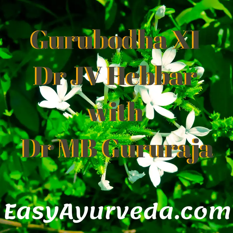 Gurubodha 11 Chitraka (Leadwort) Uses, Side Effects, Precautions | Convincing Clients About Ayurvedic Treatment 