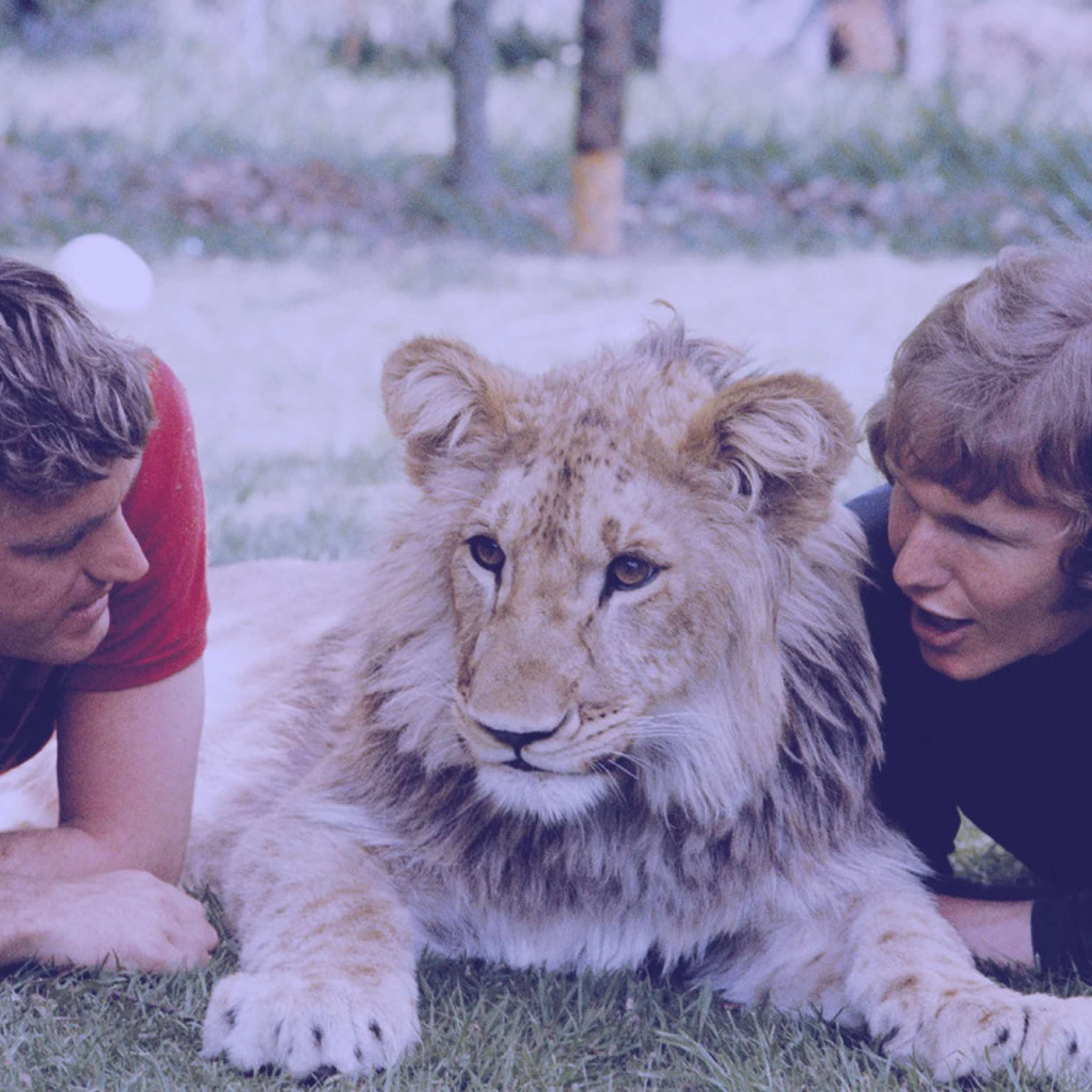 #444 | The Amazing Story of Christian The Lion