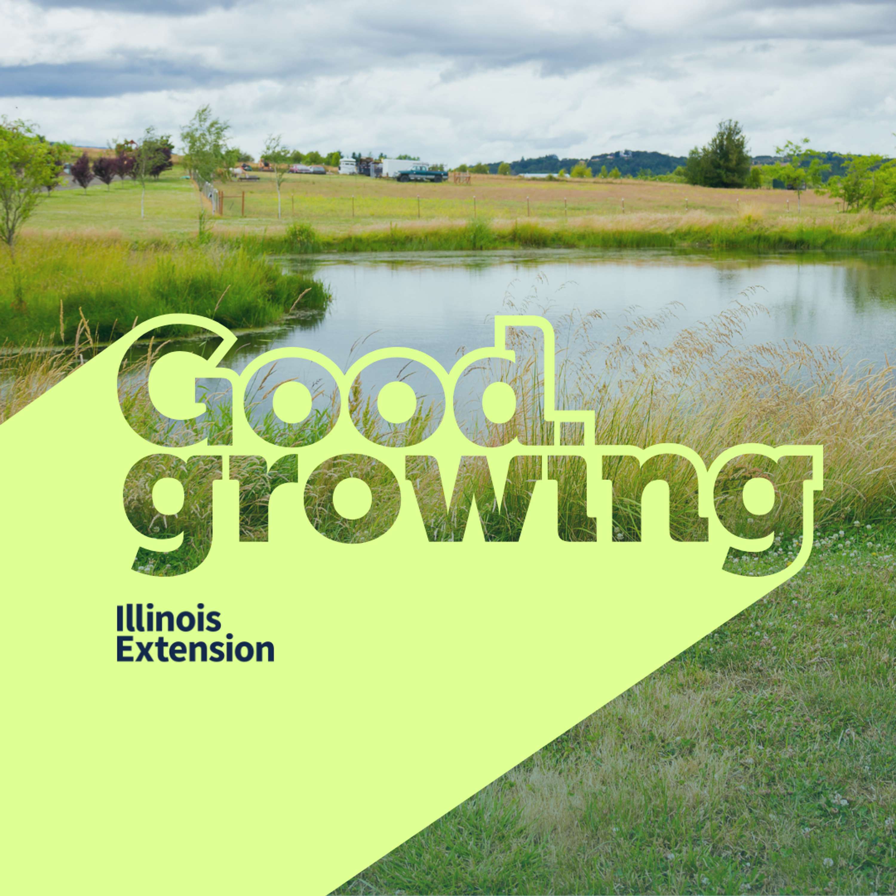 April is Pond Management Time! Talking aerators, duckweed, and vegetated buffers | #GoodGrowing