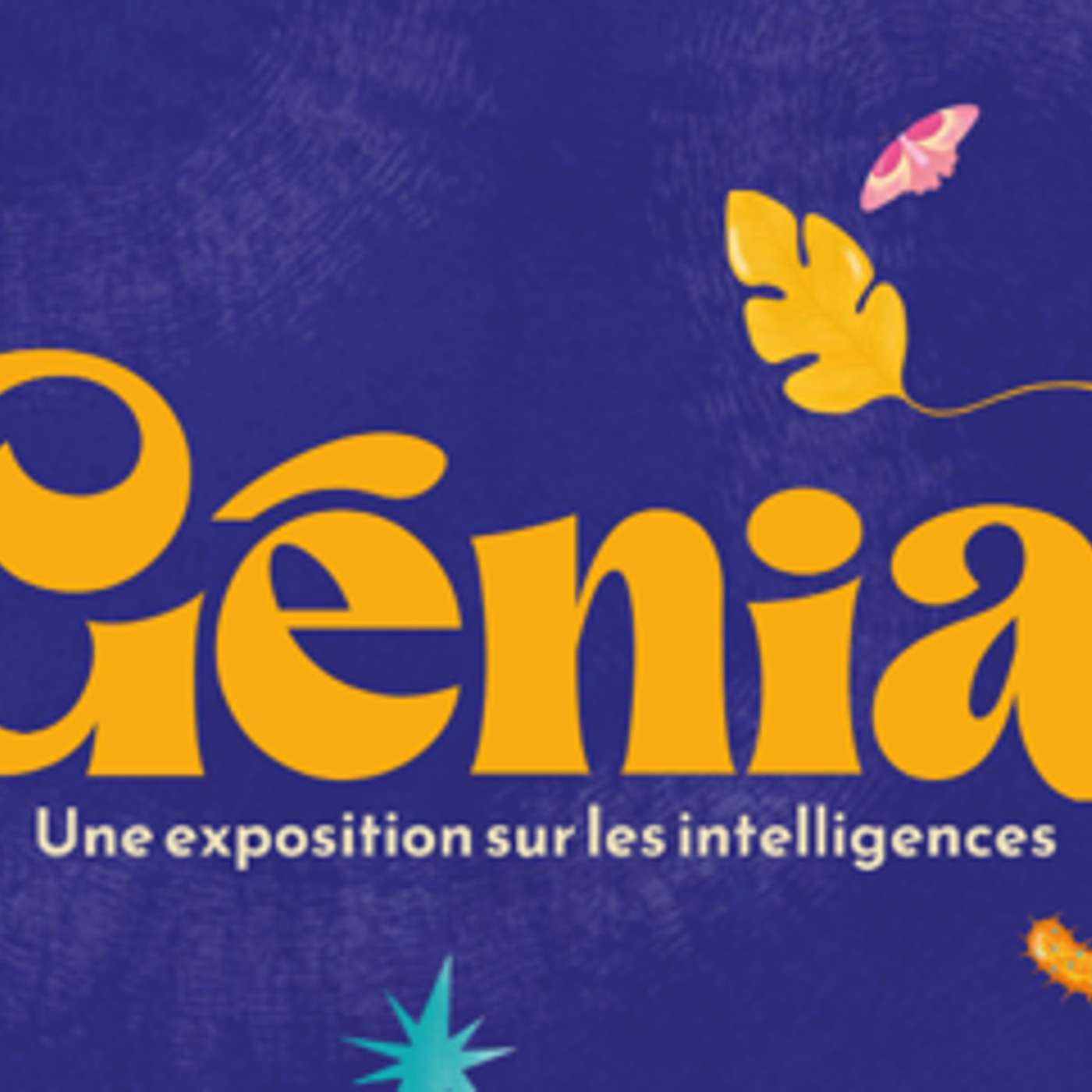 Génial ! 2/2– Une exposition sur les intelligences au ZOOM à Laval episode artwork