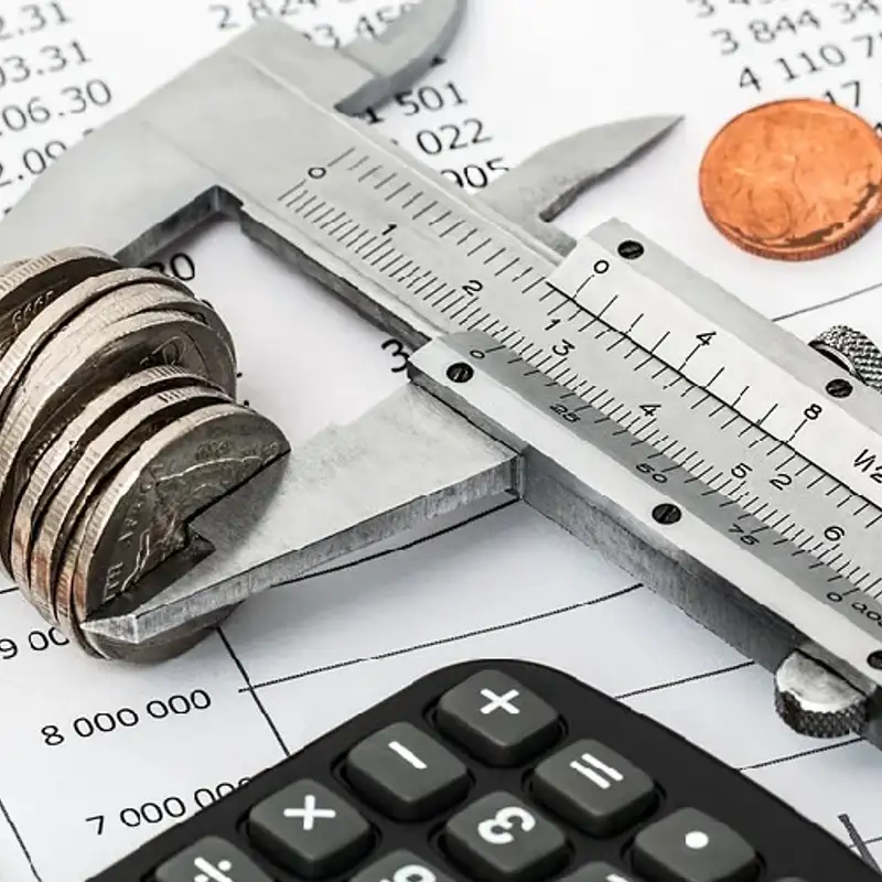 ECONOMIE - Le revenu universel, vrai ou fausse bonne idée?