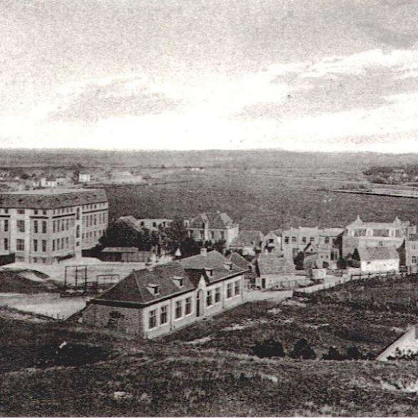 Vrijheid is als frisse lucht