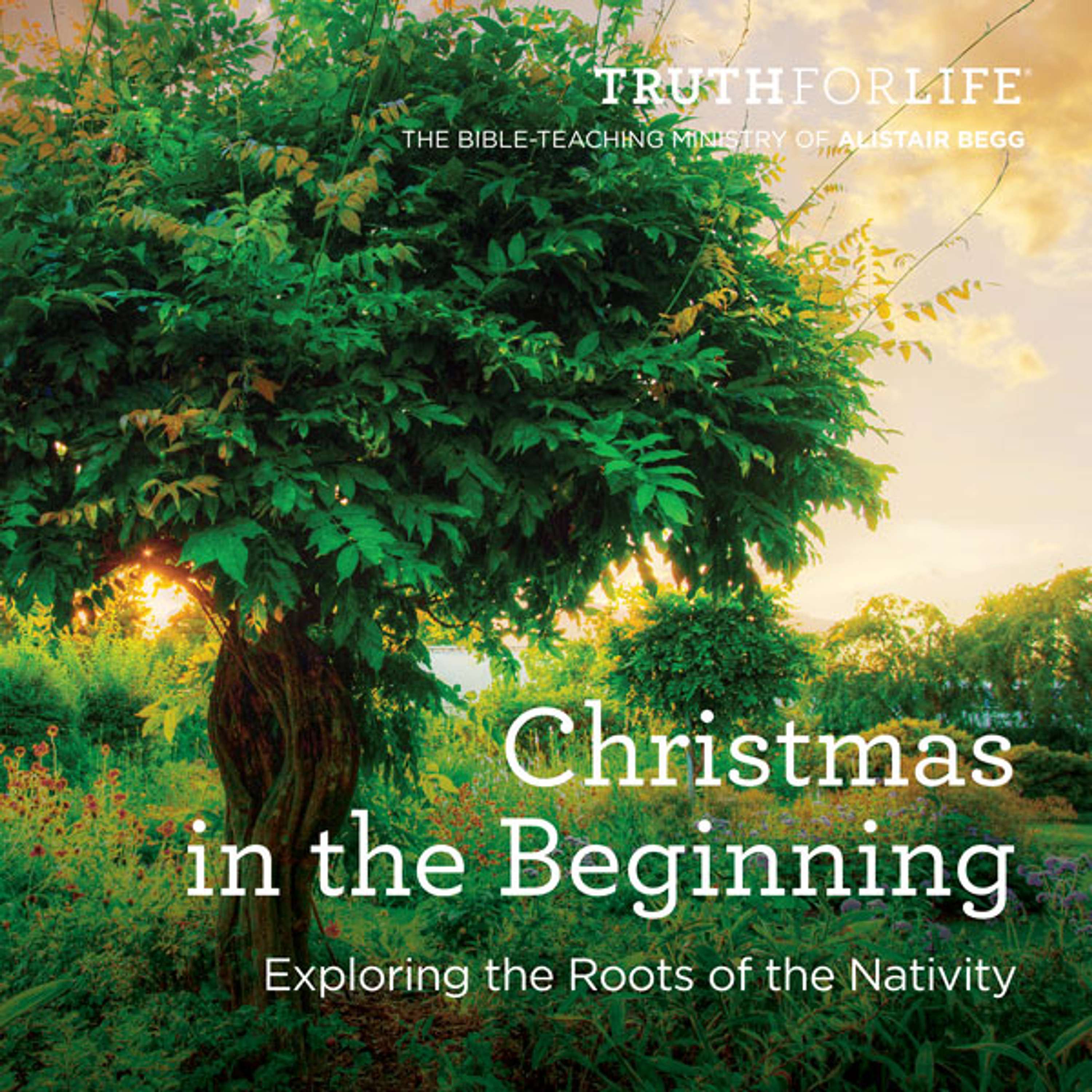 Christmas in Genesis (Part 2 of 6) episode artwork