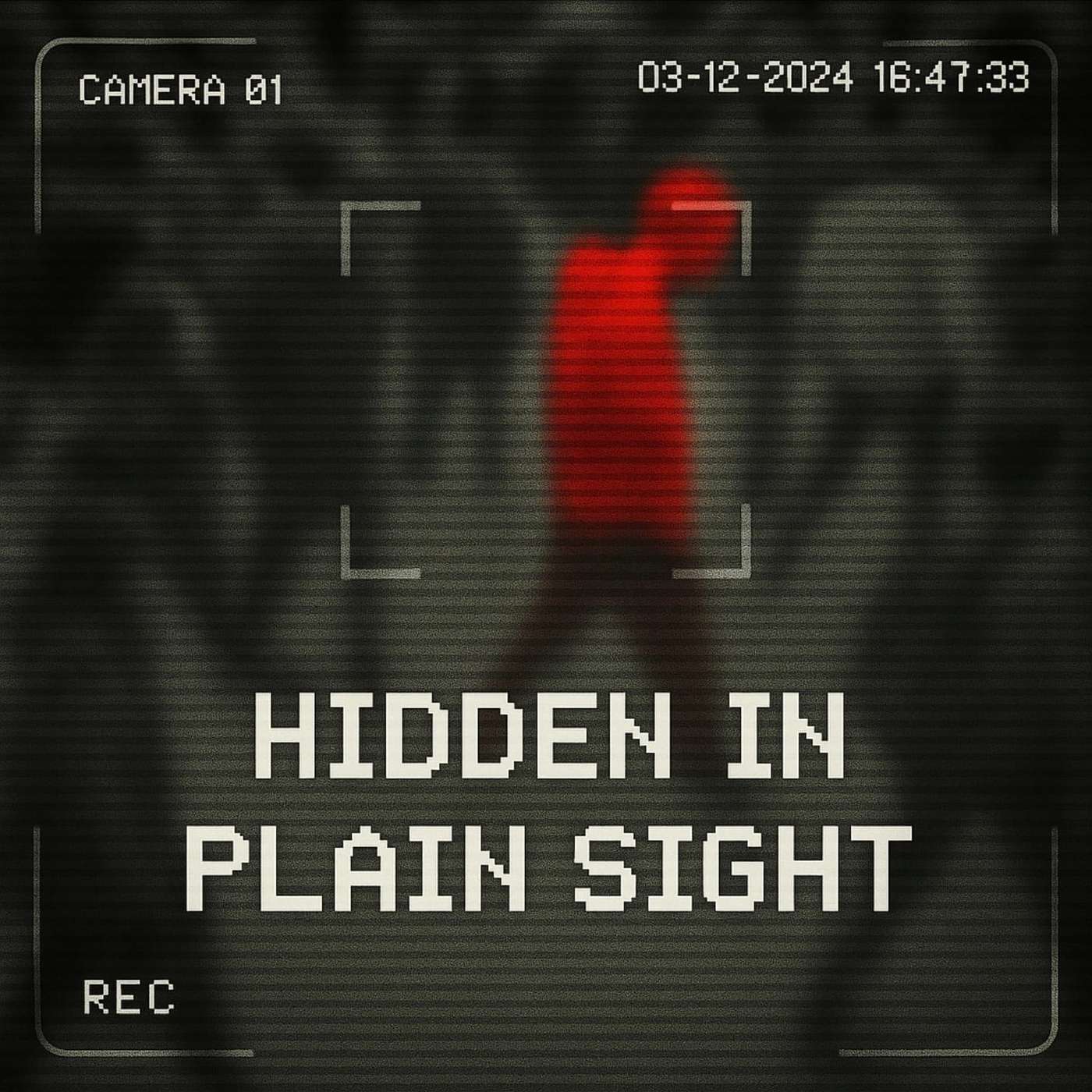 Introducing: Hidden in Plain Sight