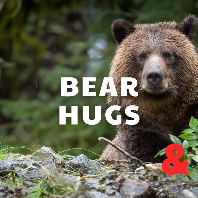 Bear Hugs