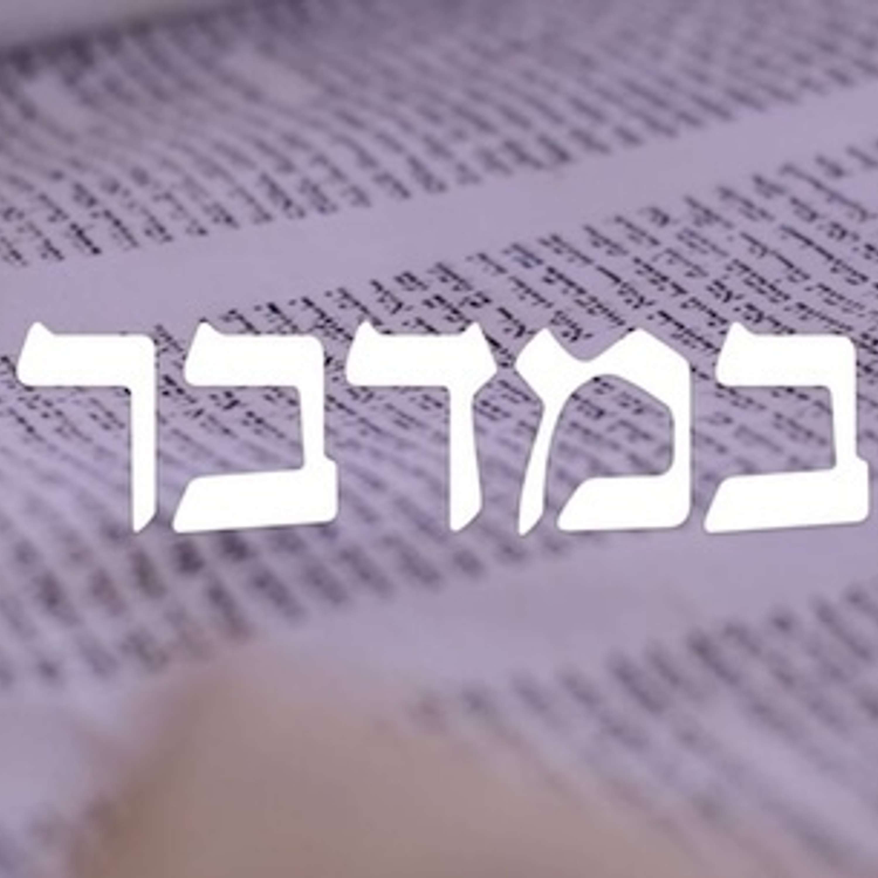 The Hebrew Names