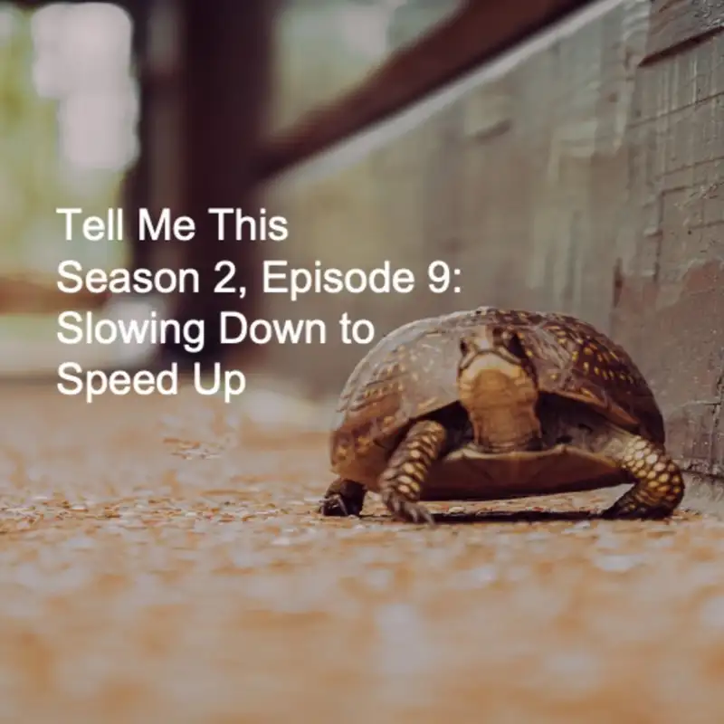 Season 2, Episode 9: Slowing Down to Speed Up