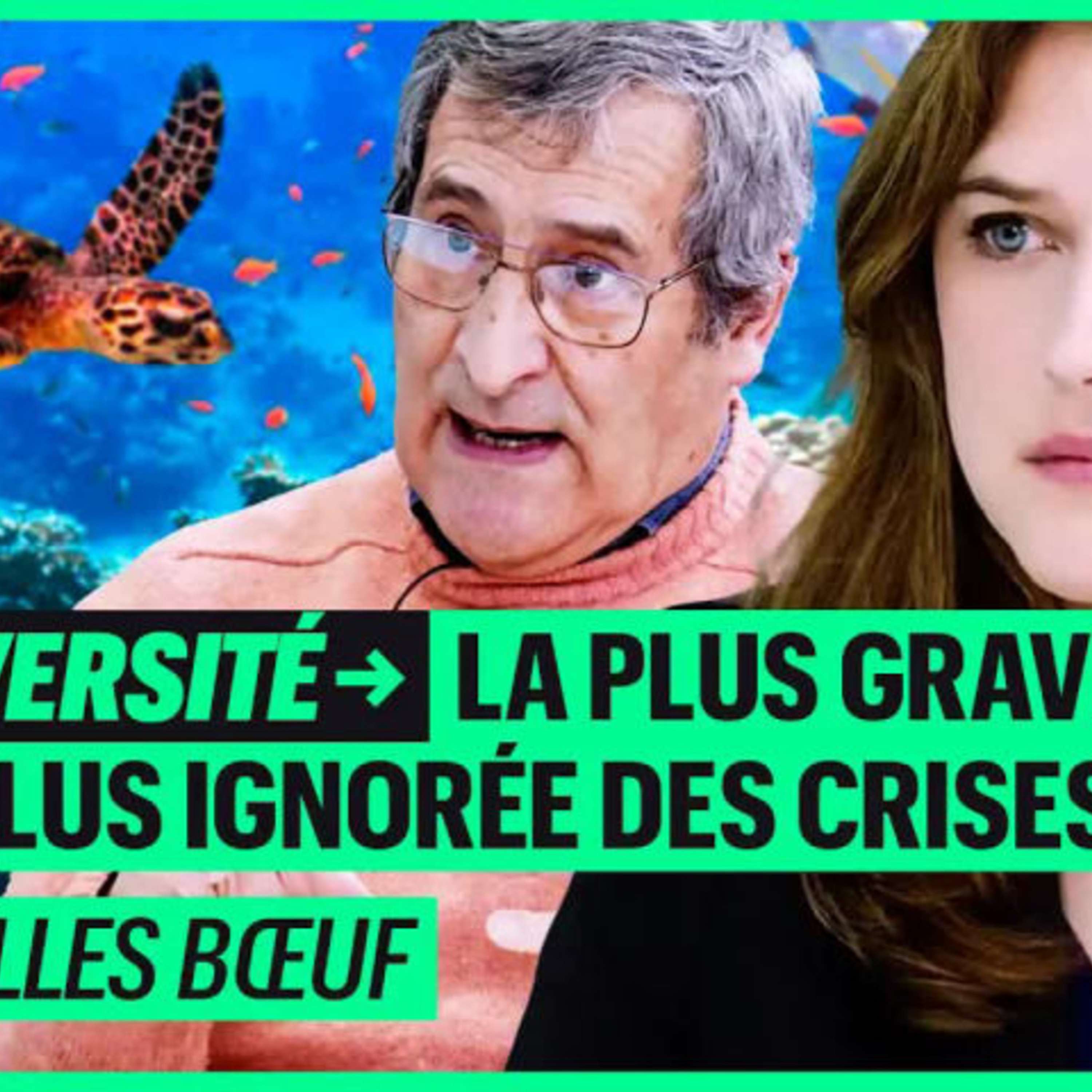 Blast - L’Écologie