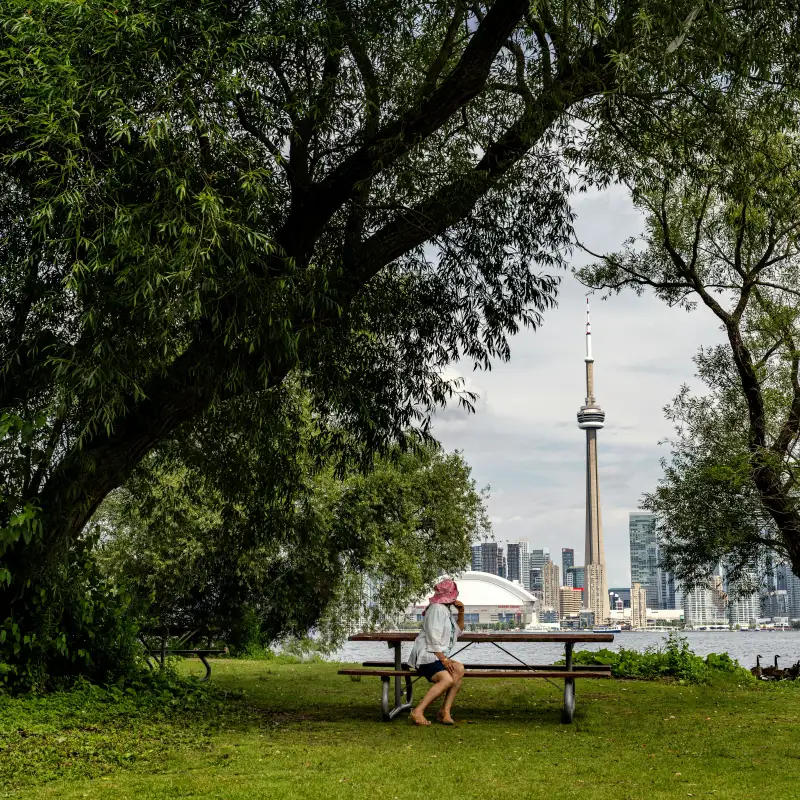 SORTIES - Partez à la découverte des îles de Toronto