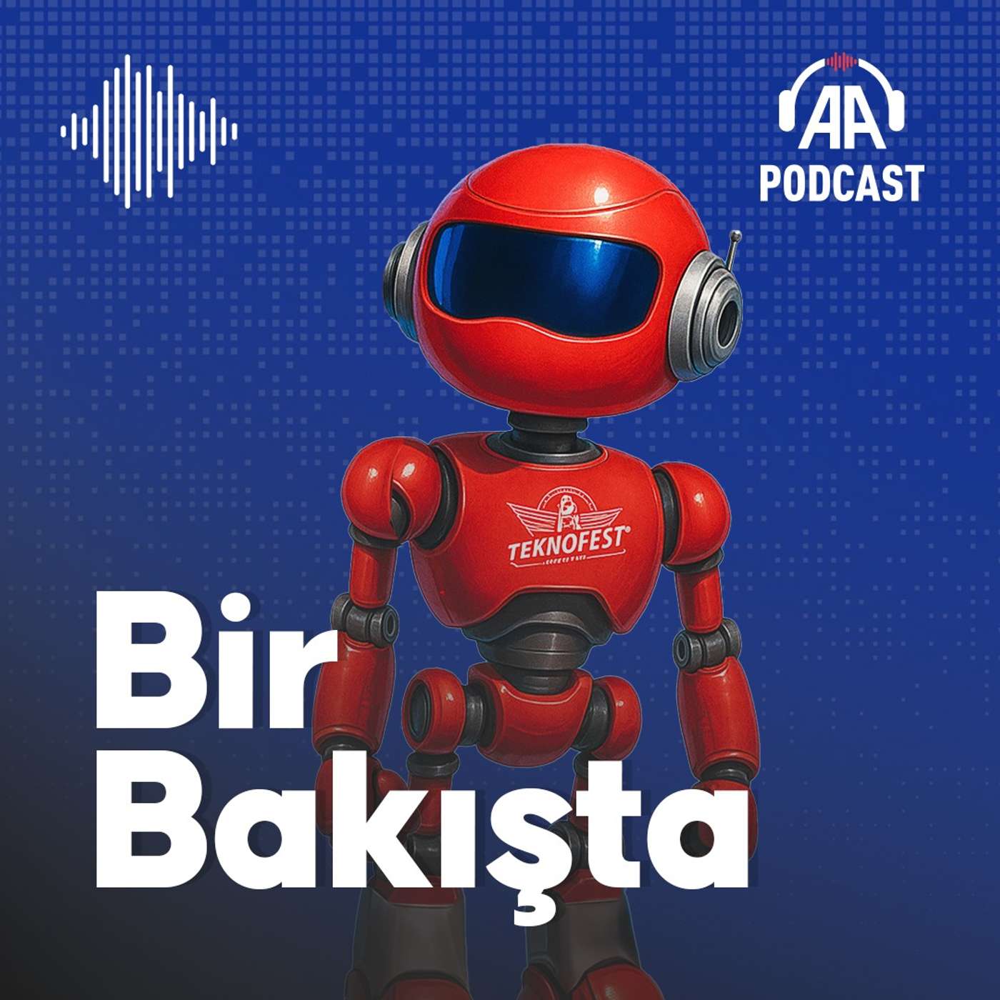 Diasporadaki Türk gençleri için TEKNOFEST nasıl bir anlam taşıyor?