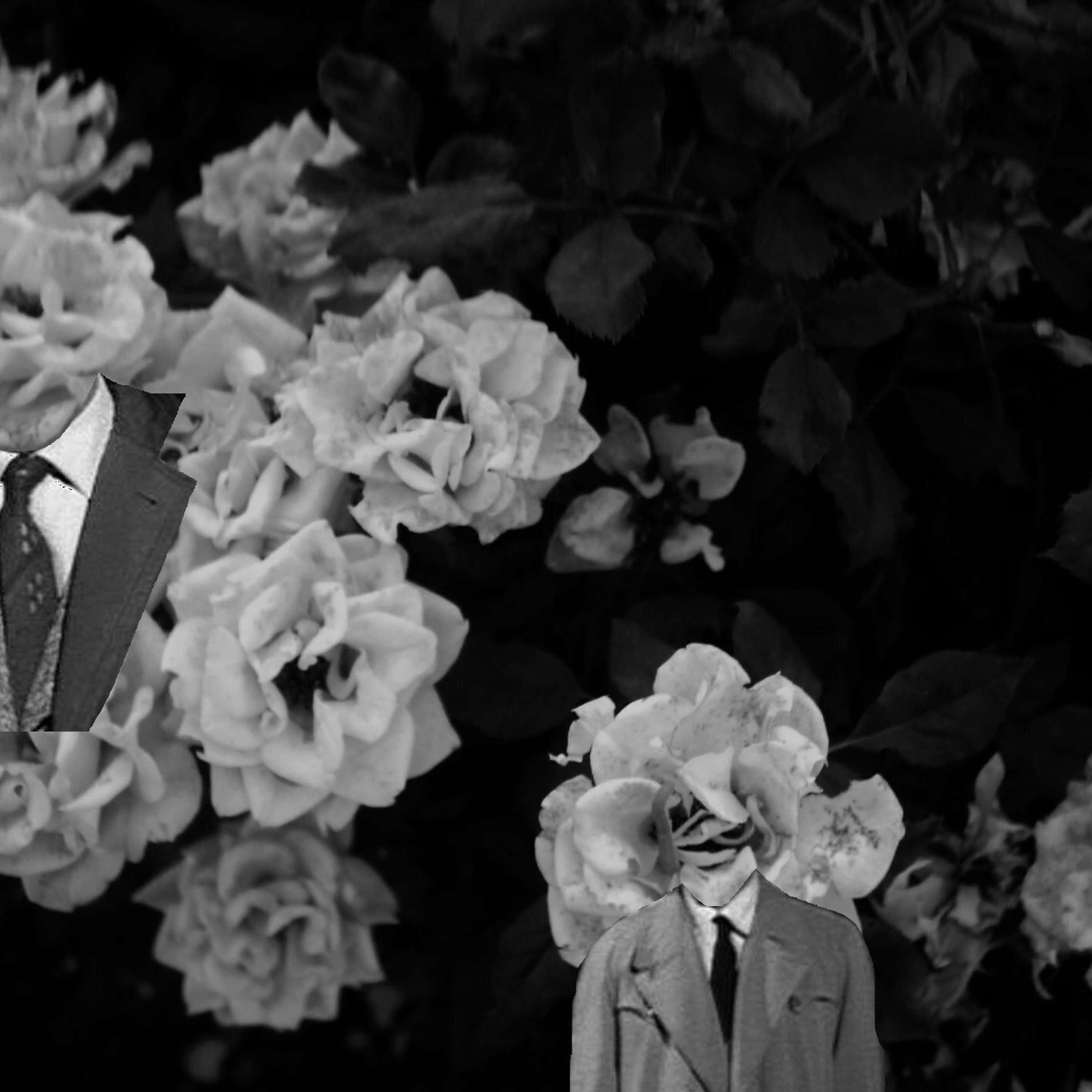 Λόγος Μετακίνησης 08.01.2021