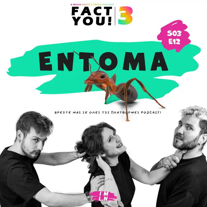 Ανατριχιαστικά Έντομα! | S03E12 | Fact You!