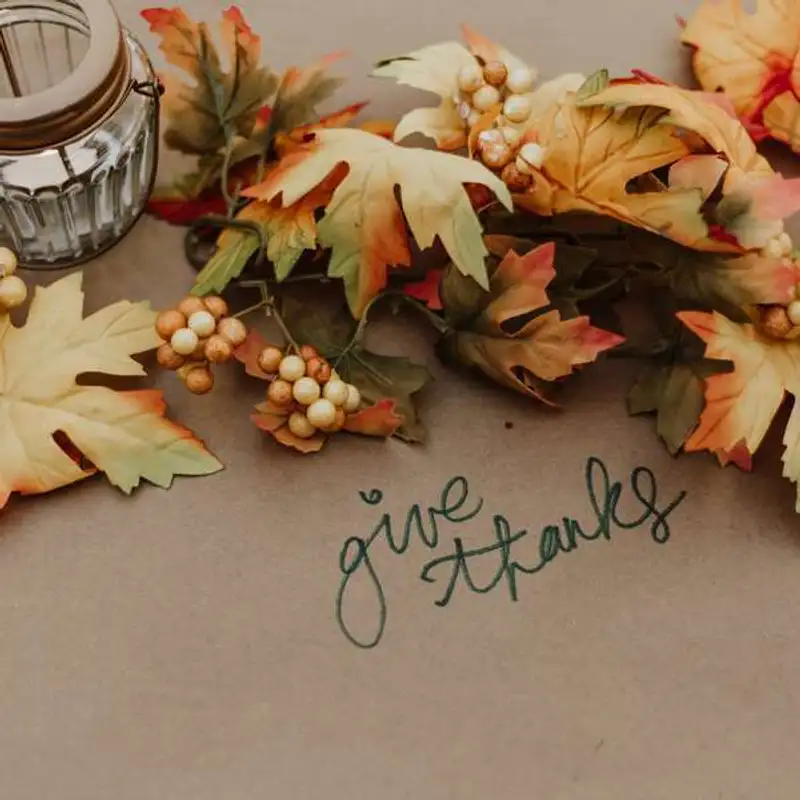 S07:E25 - Thanksgiving and friendsgiving