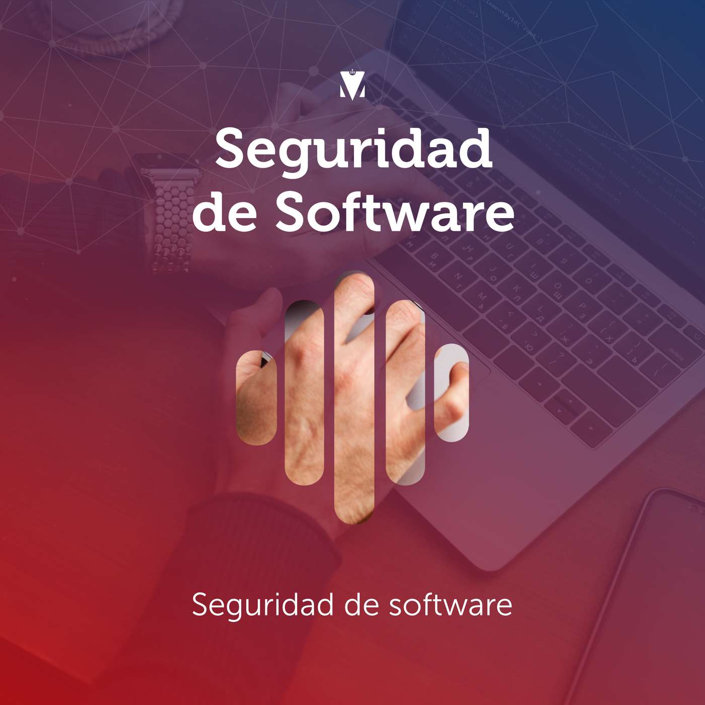 6 - SEGURIDAD DE SOFTWARE: Seguridad de software