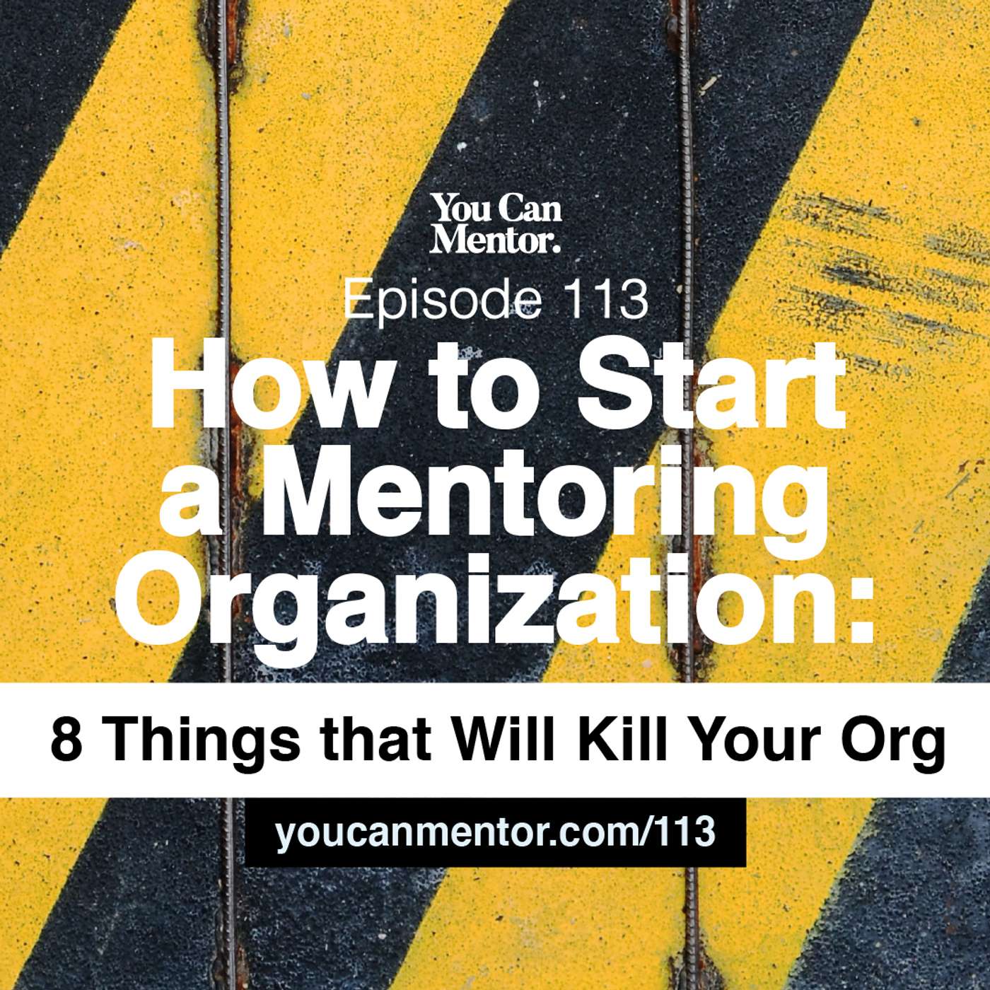 113. How to Start a Mentoring Organization: 8 Things that Will Kill Your Organization