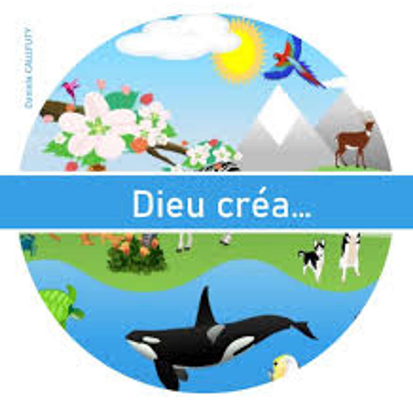 De l’urgence de redécouvrir le Dieu créateur (4)
